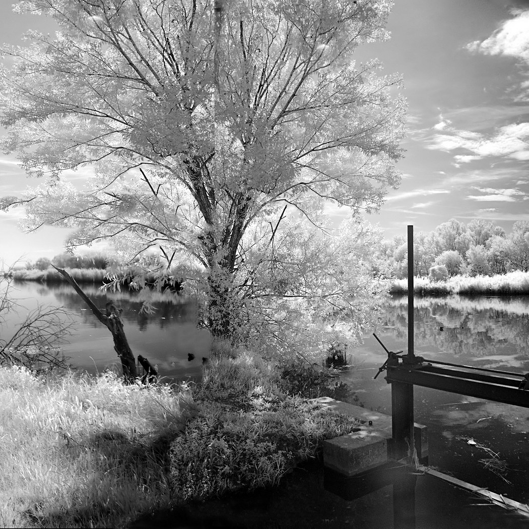 Busatello Oasis - connection to the White Canal