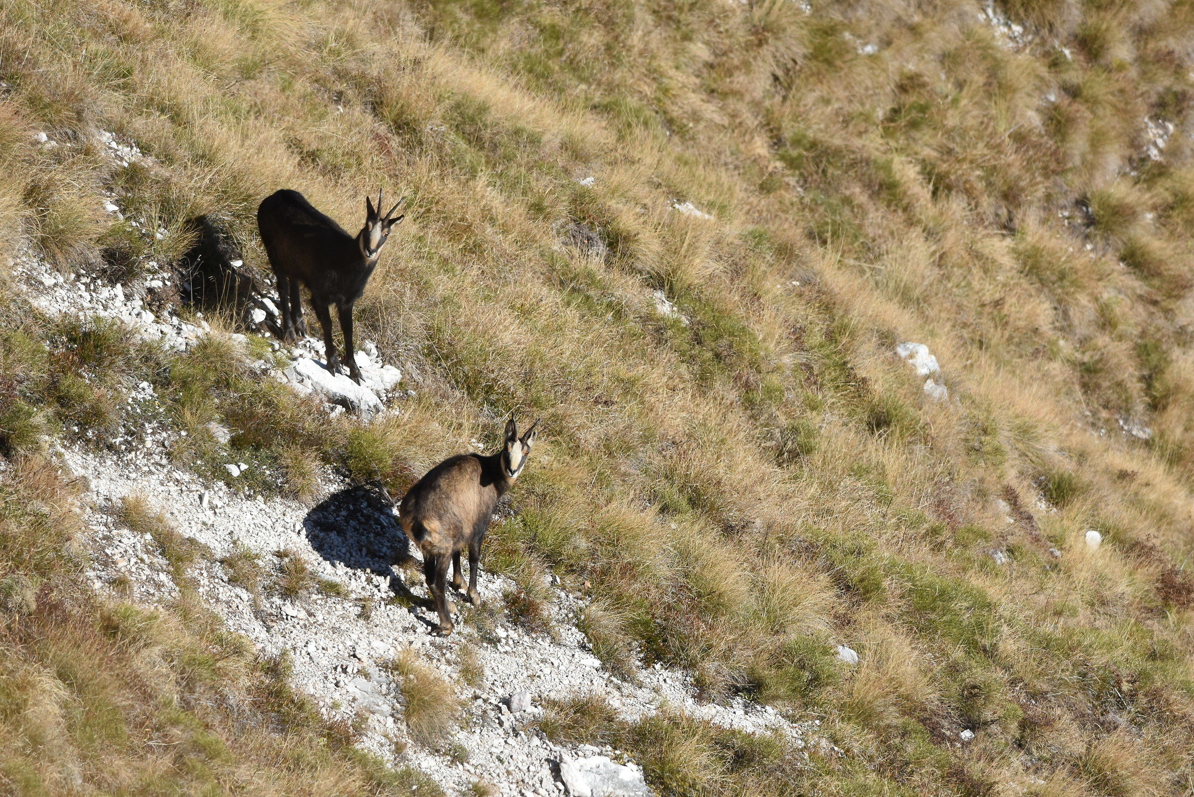 Sotto il sole sotto il sole.....