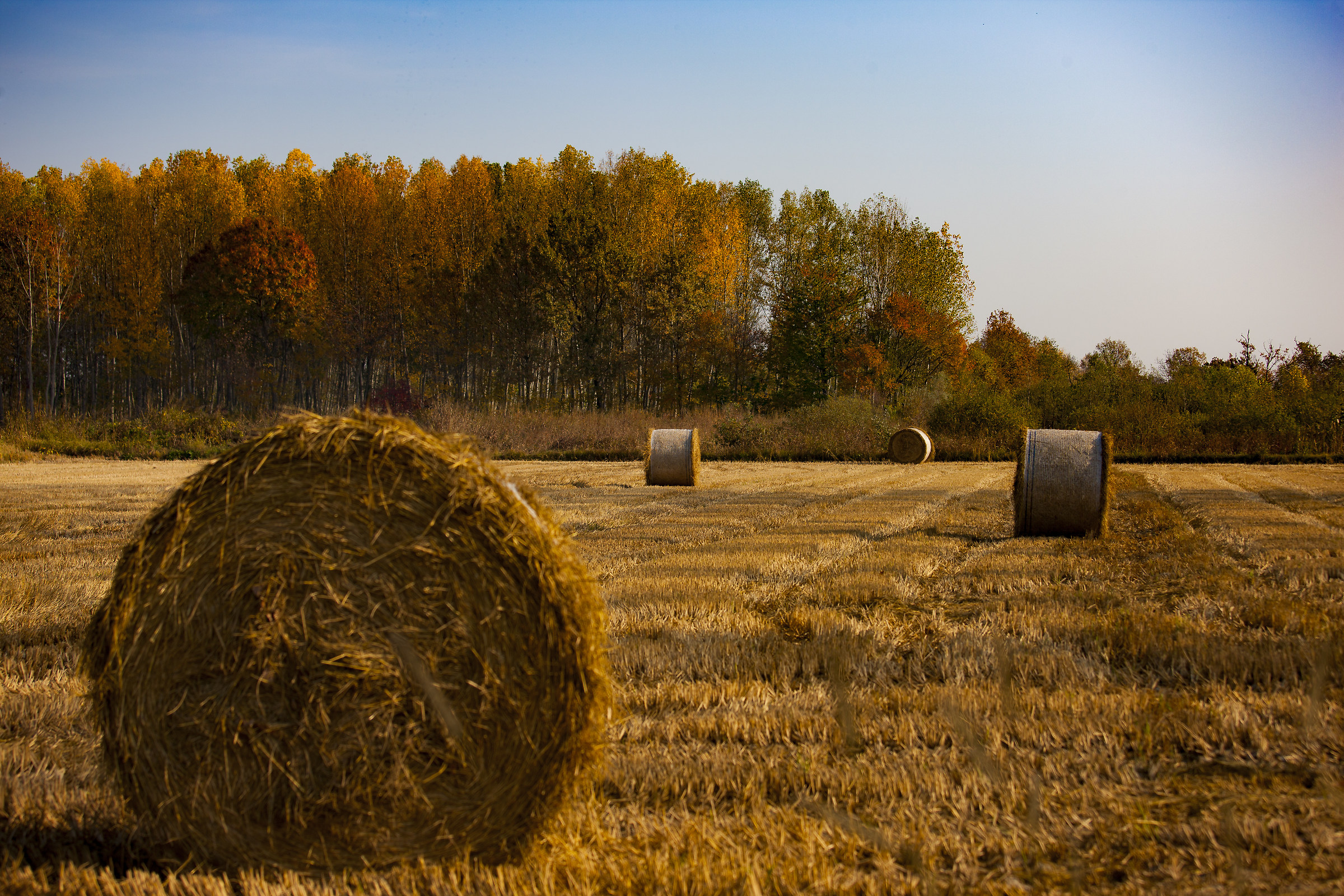 Rotoballe anch'io (Scusate!)