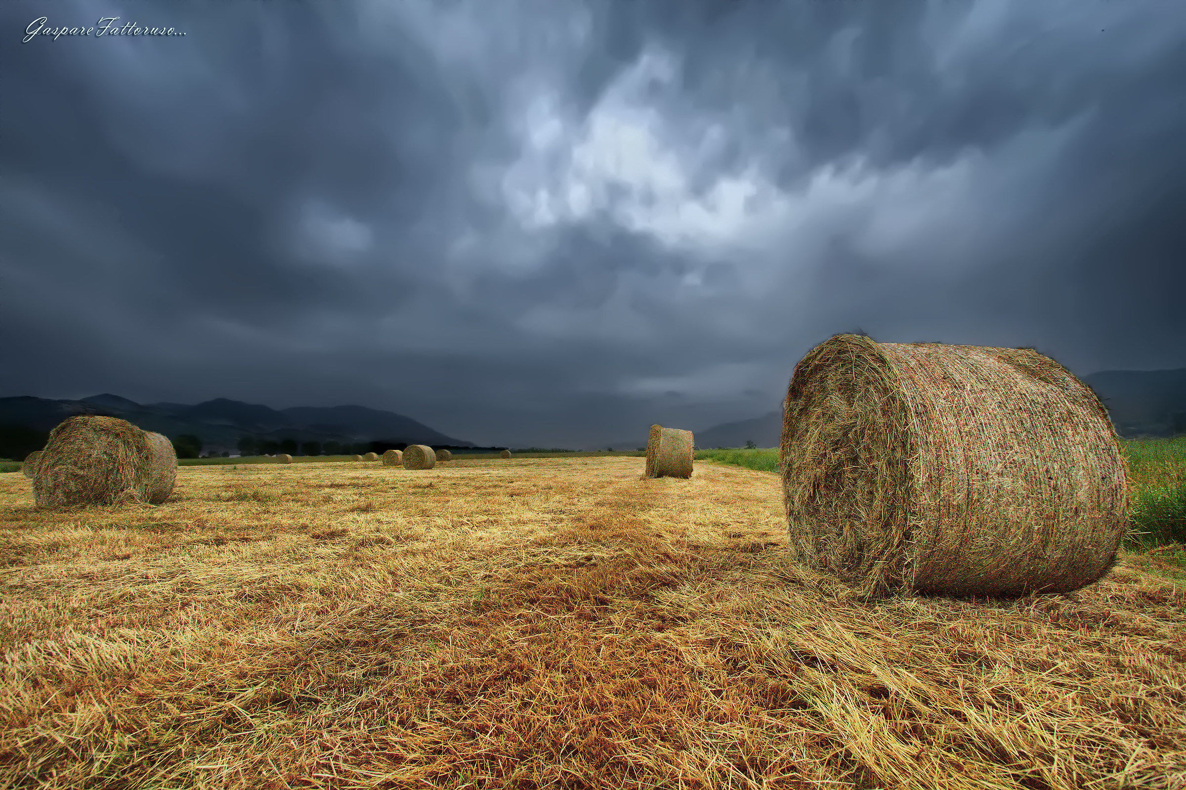Estate Piovosa di qualche anno fa...