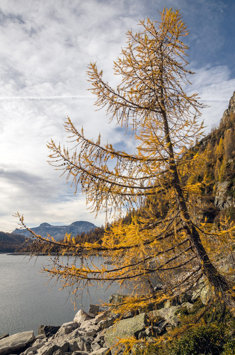 I start to grow ... at least I hope