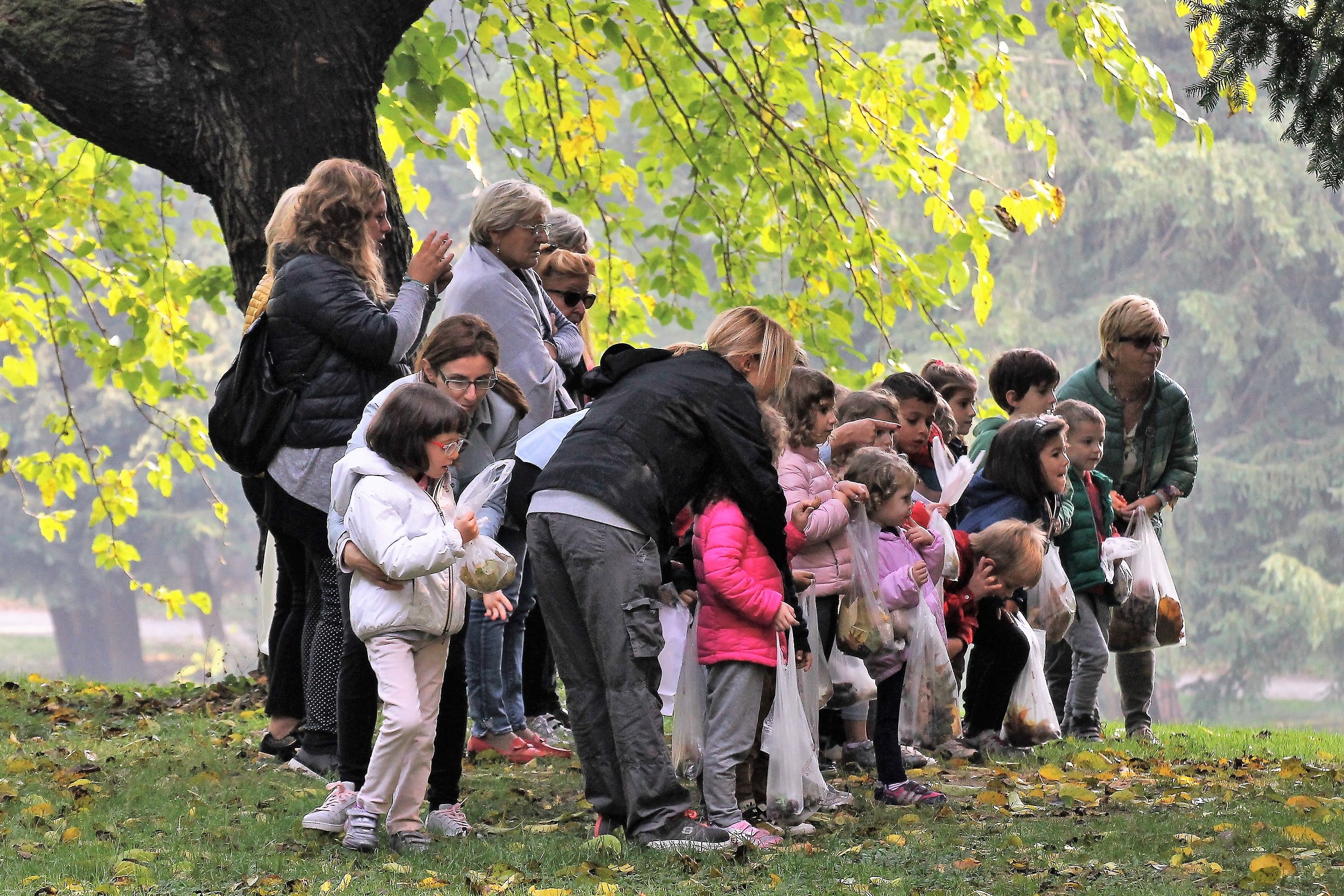 Osservando gli scoiattoli