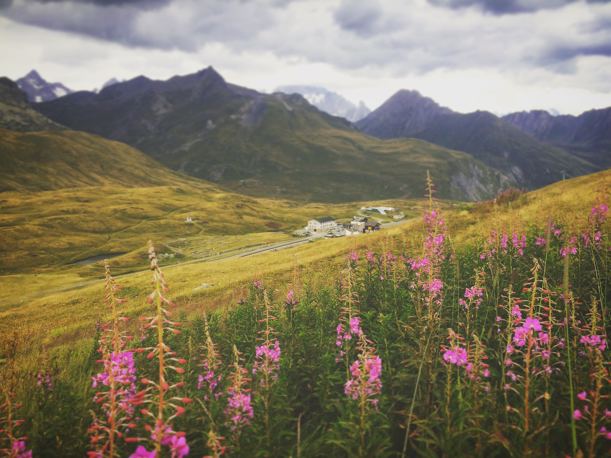 Piccolo San Bernardo Pass