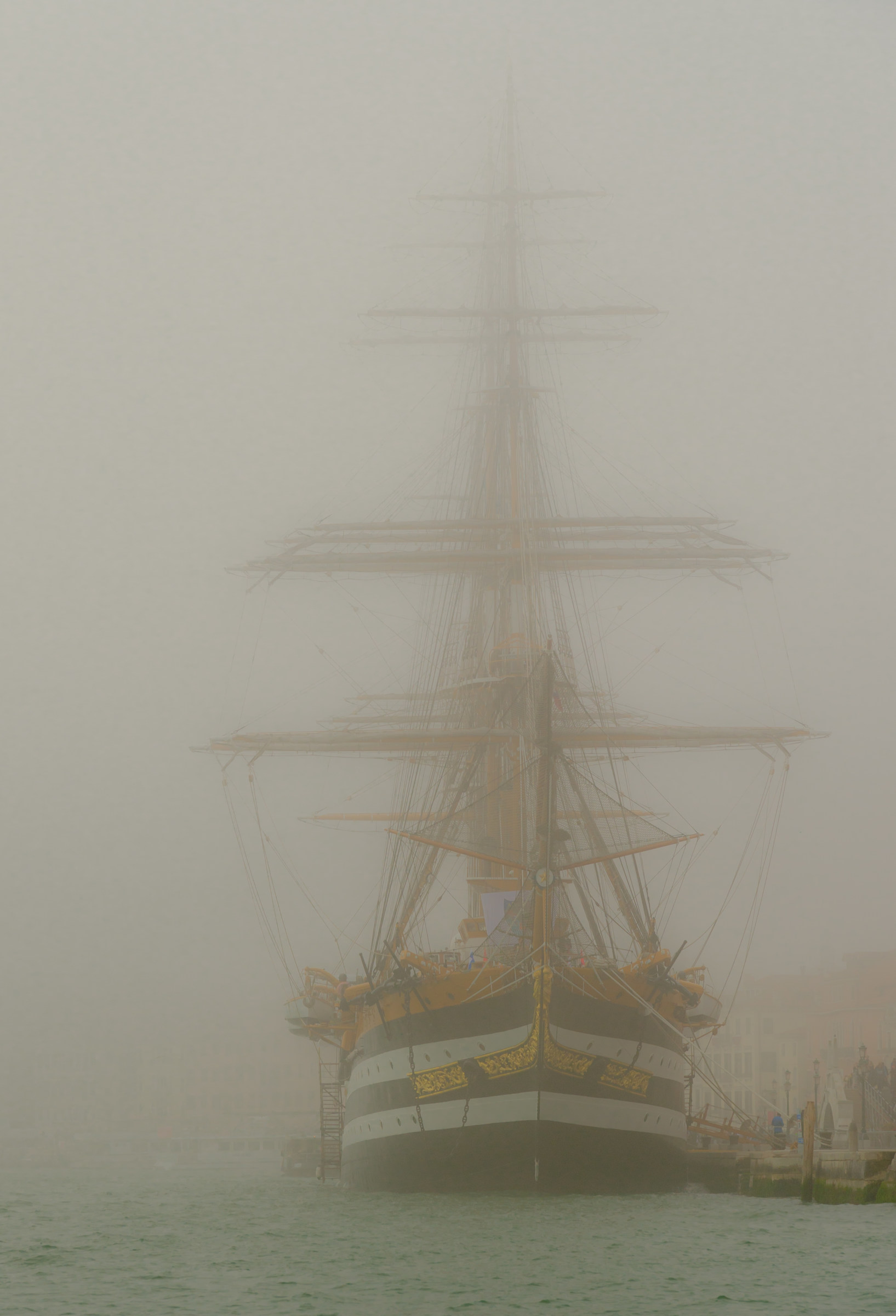 una "sagoma" inconfondibile nella nebbia....