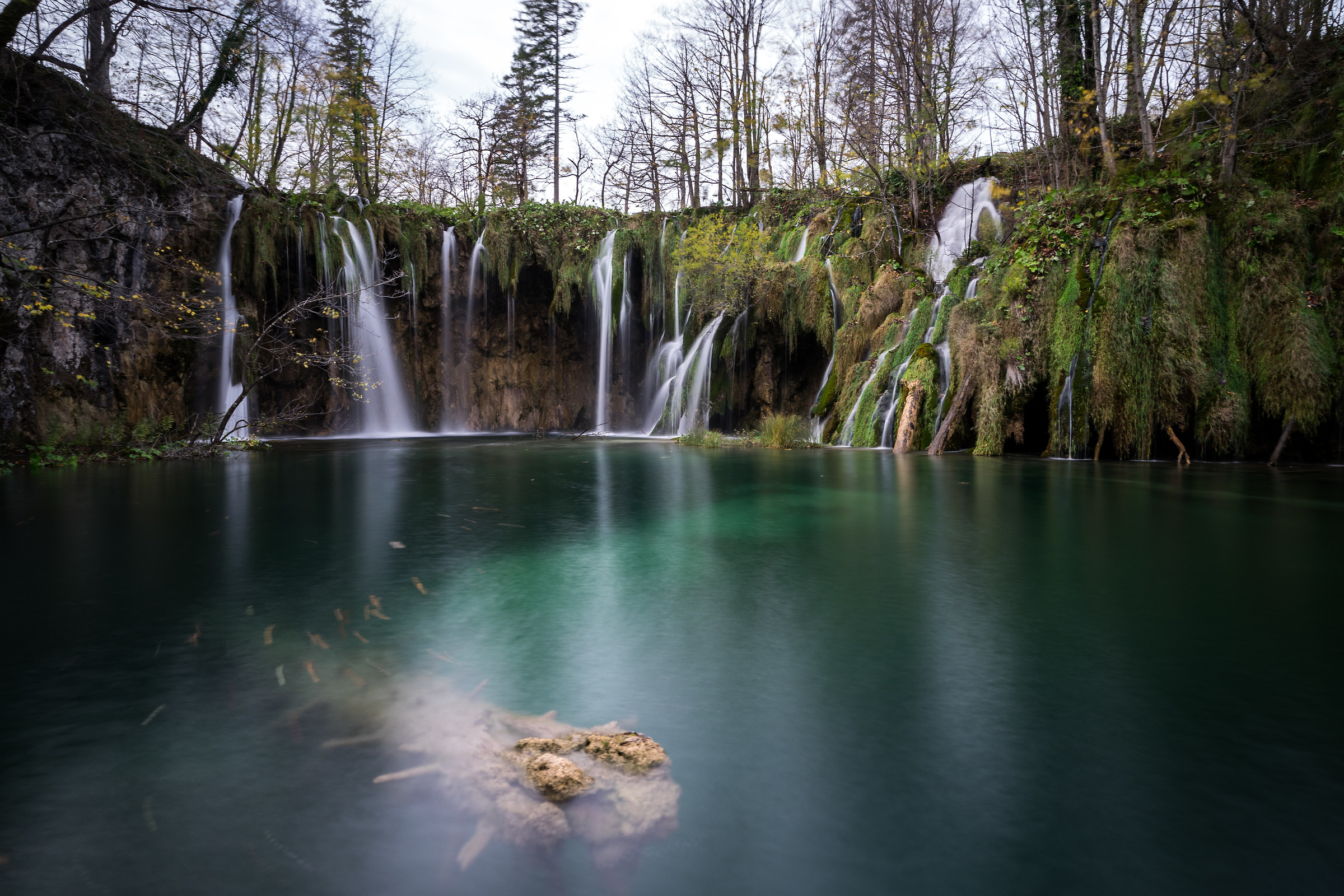 an alligator under the falls!