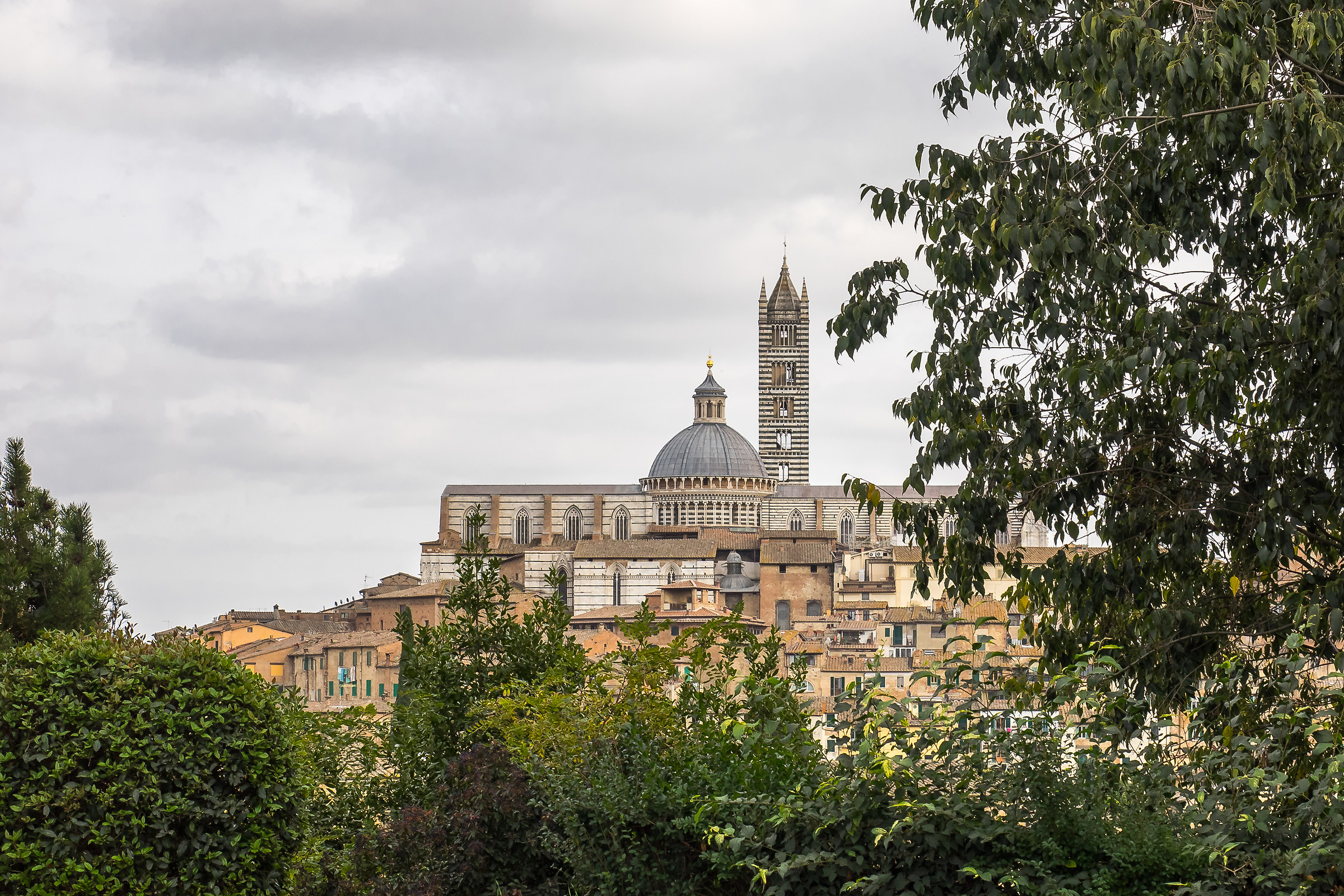 Duomo di Siena