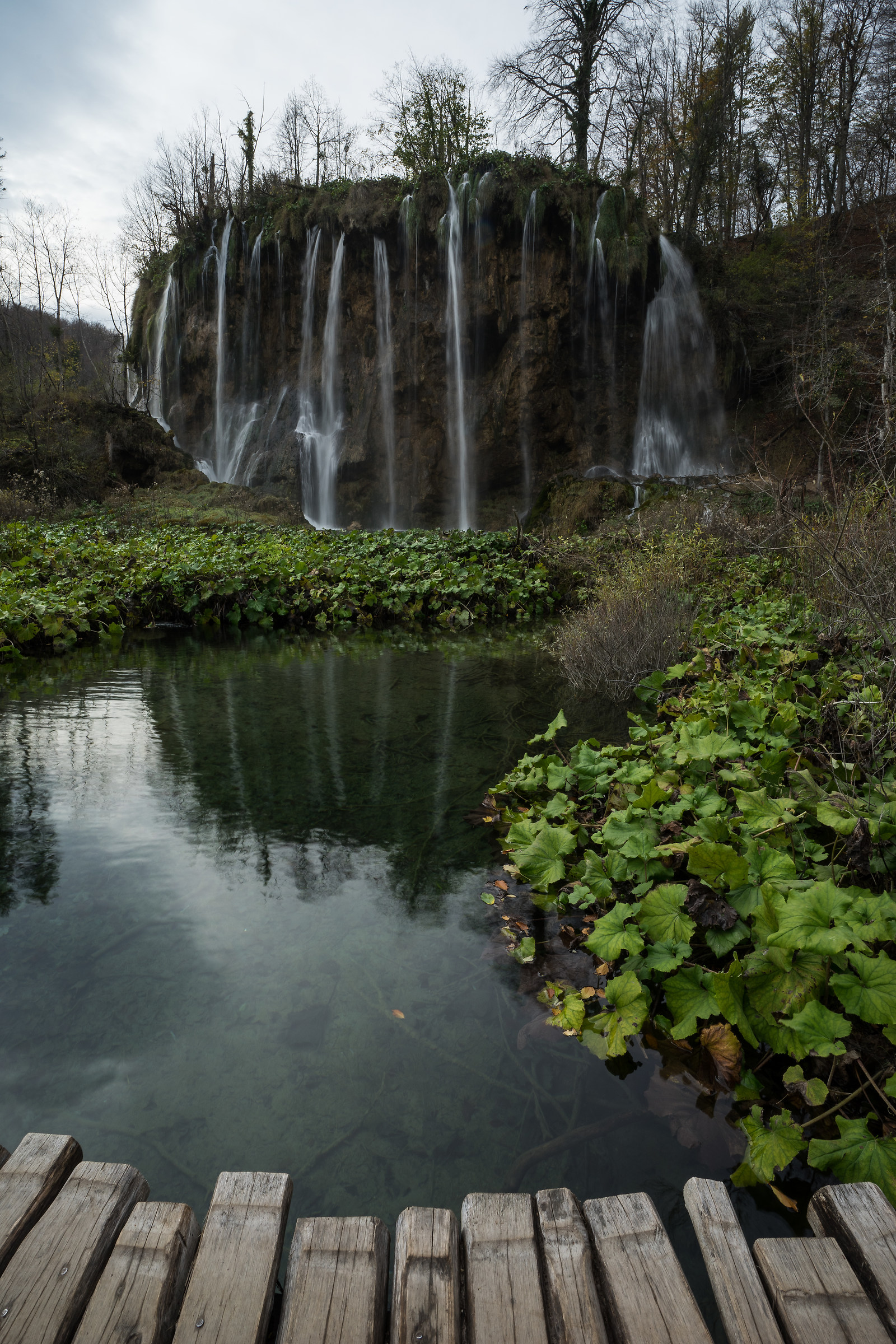 ... motionless on the walkway ...