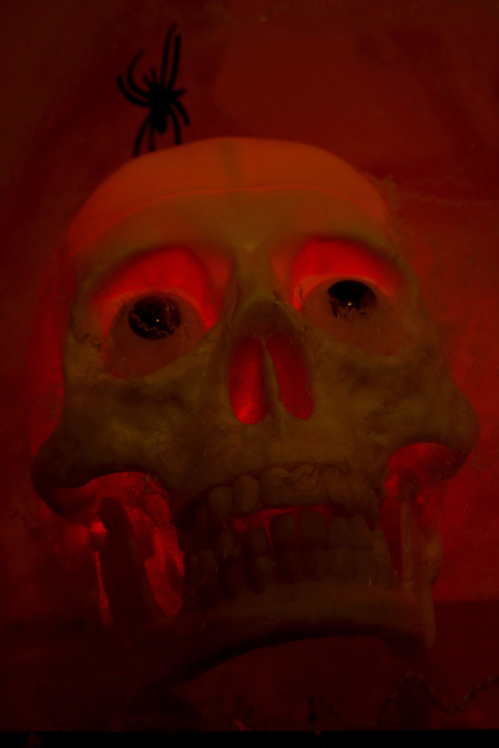 The night of witches