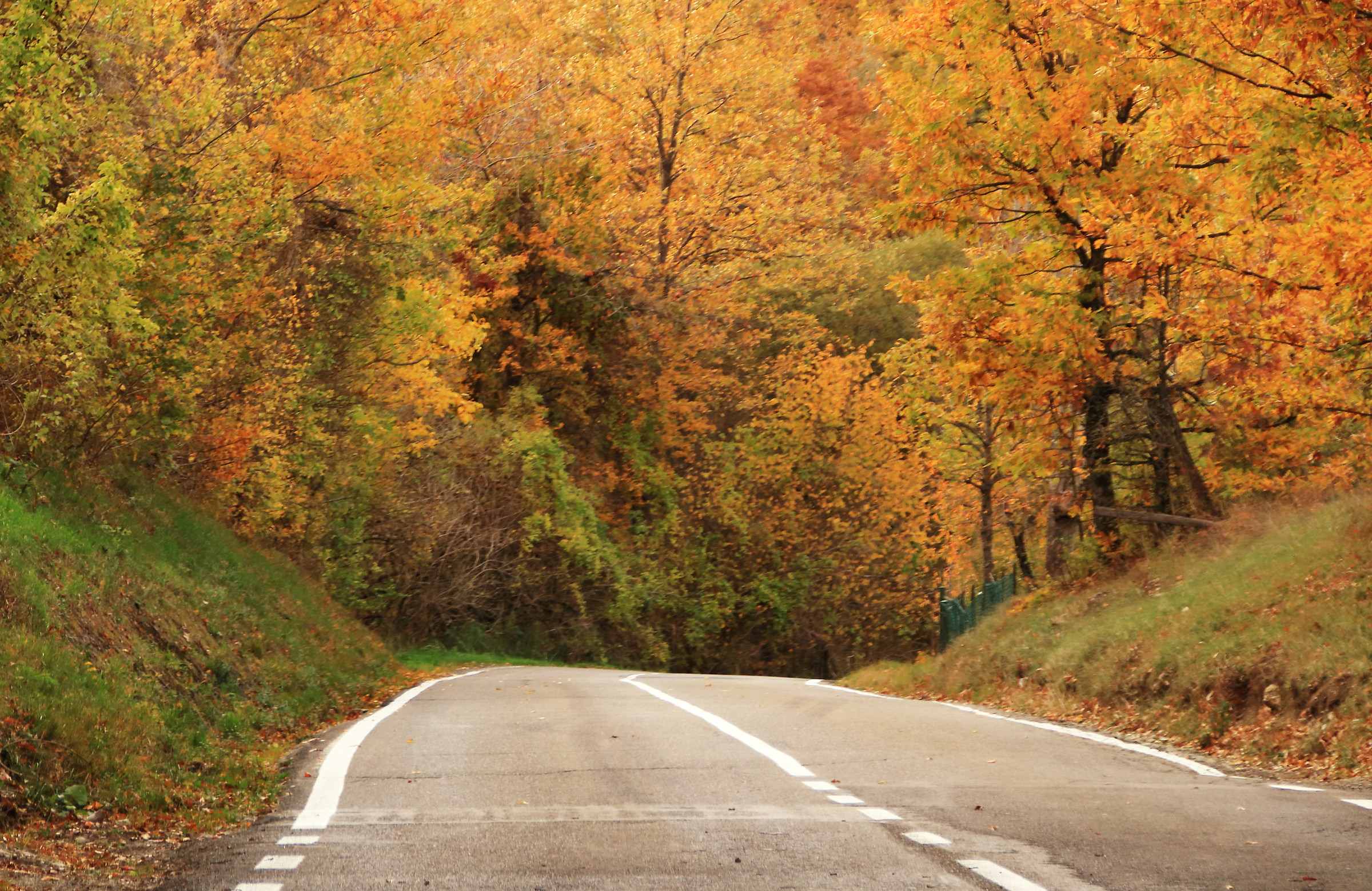On the road of colors