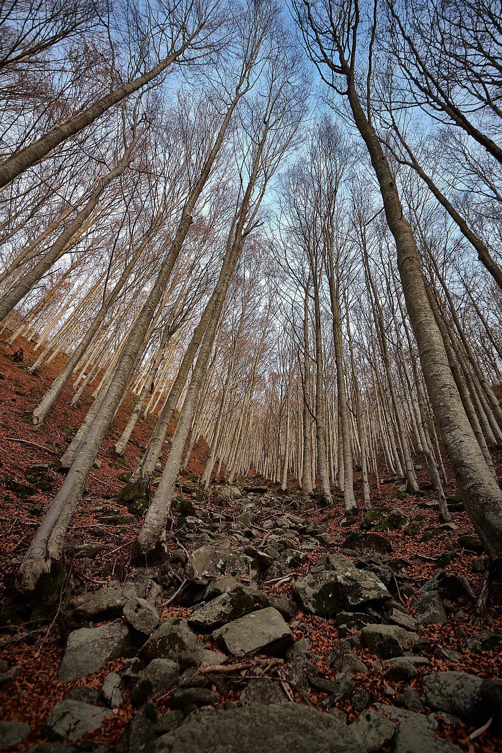 Guardians of the Greto