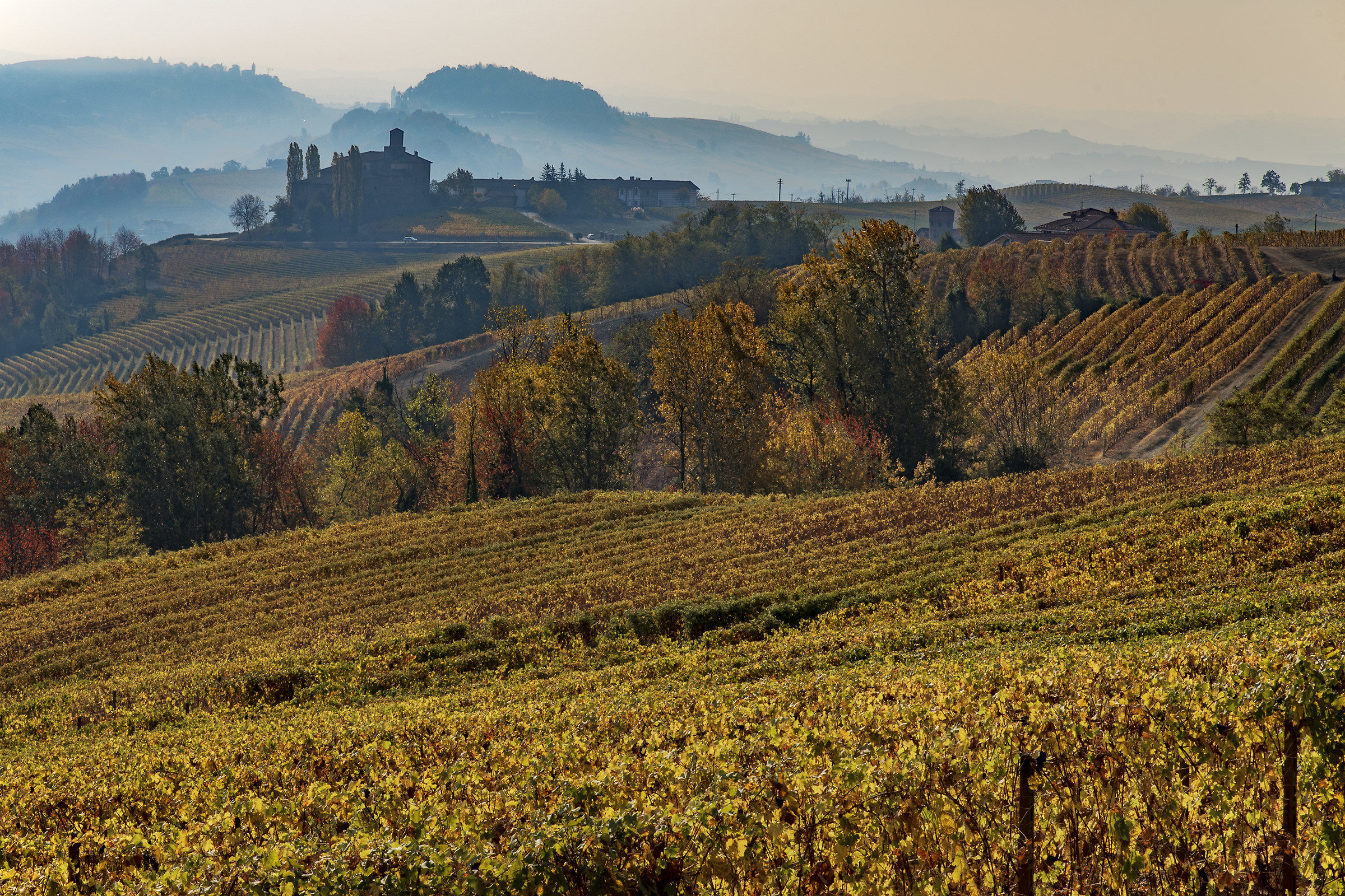 The Langhe and Autumn Colors