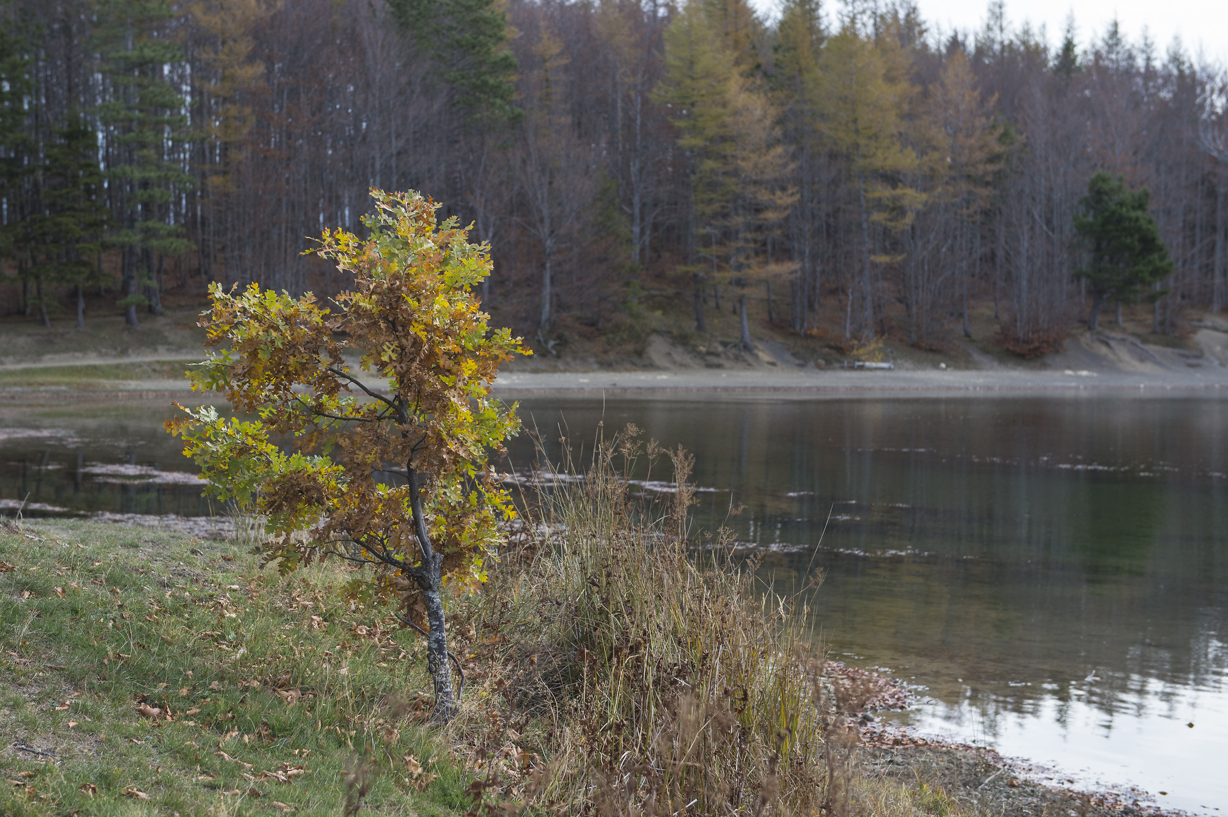 Lago Calamone