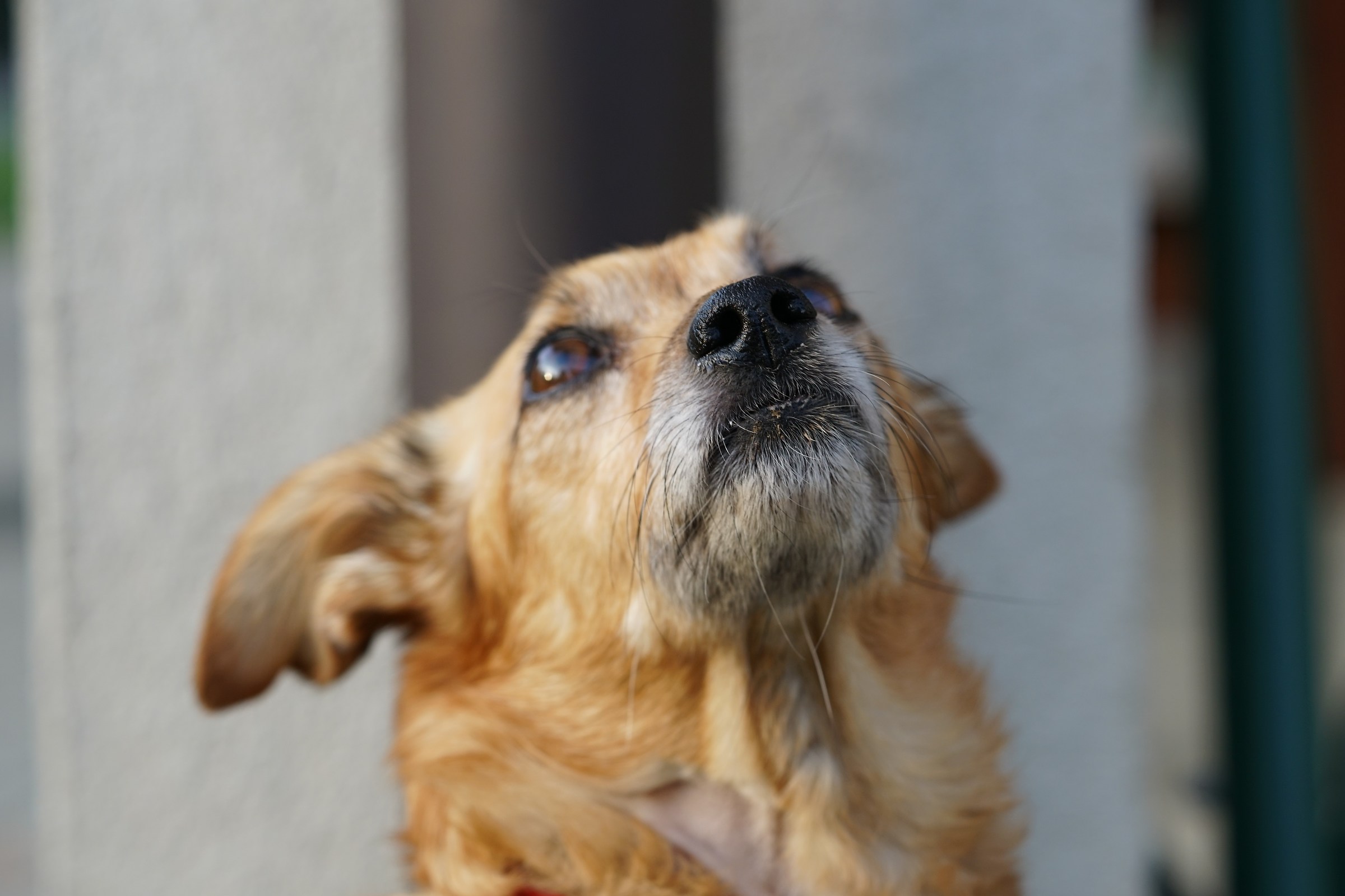 Alzando gli occhi al cielo