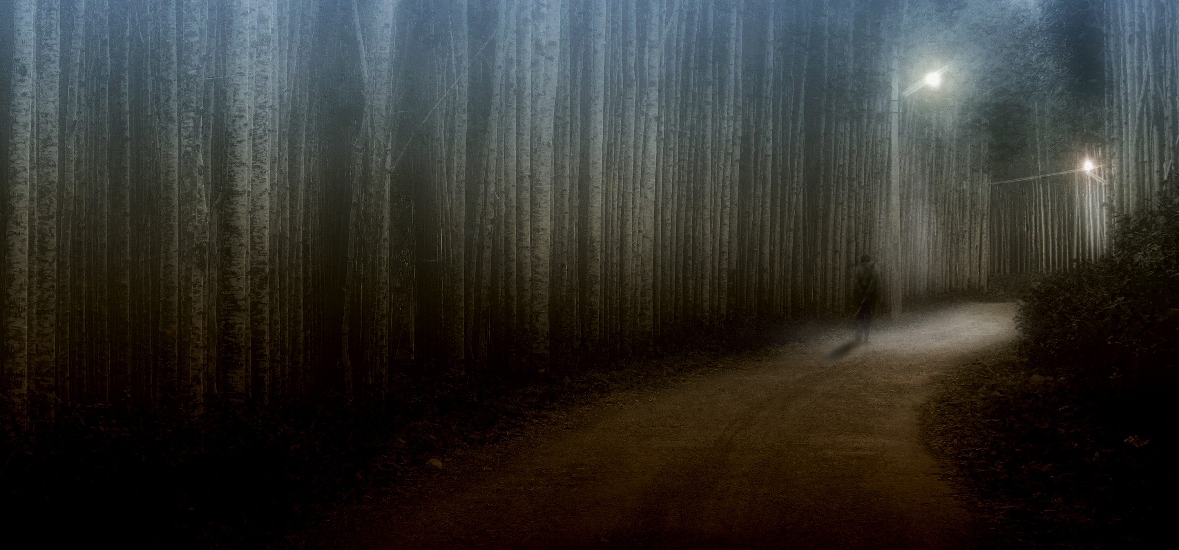 A countryside evening