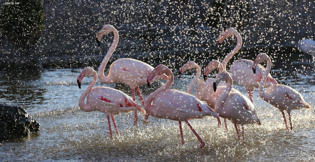 In piedi sotto la pioggia