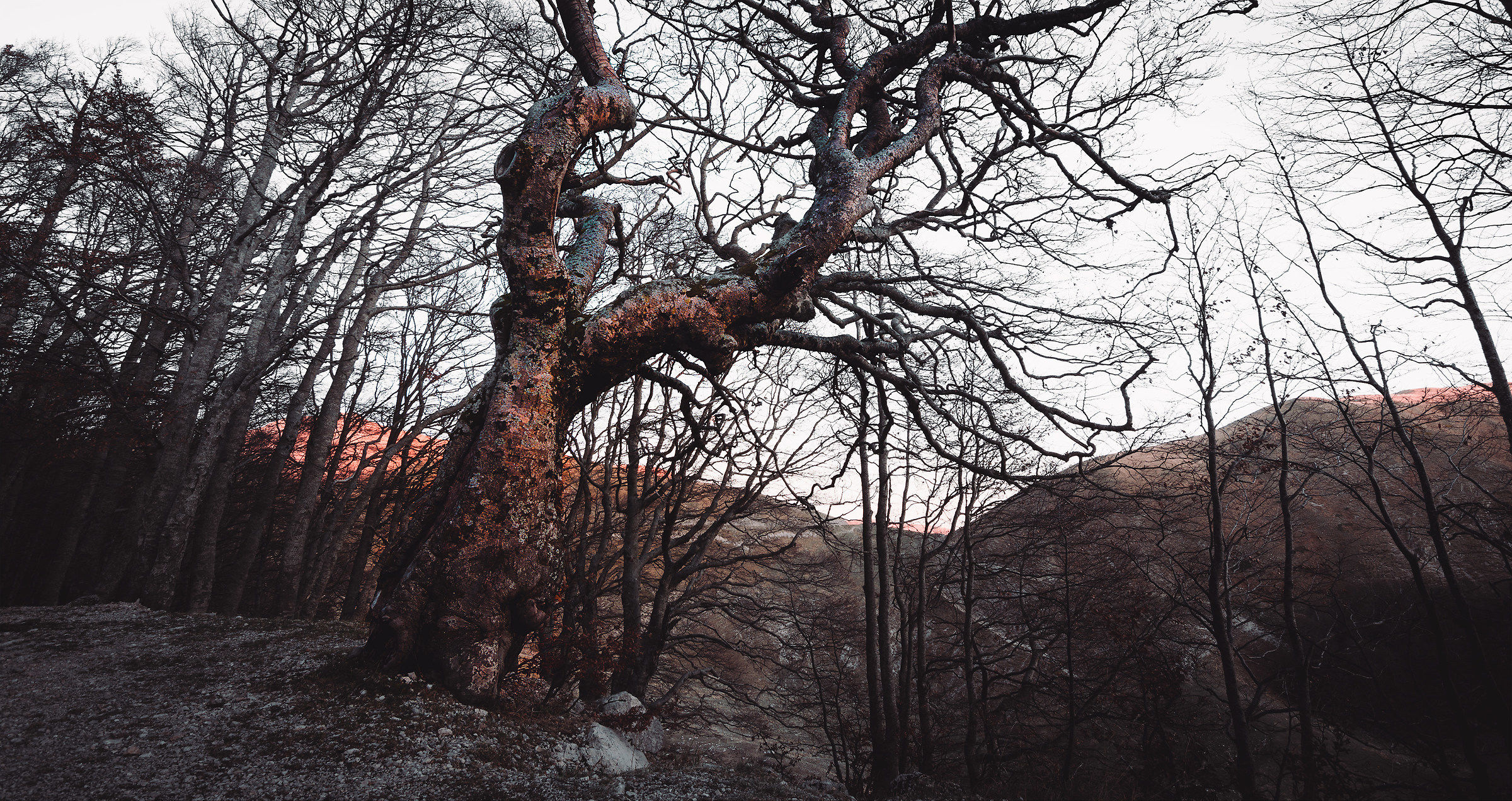 Autunno al Terminillo