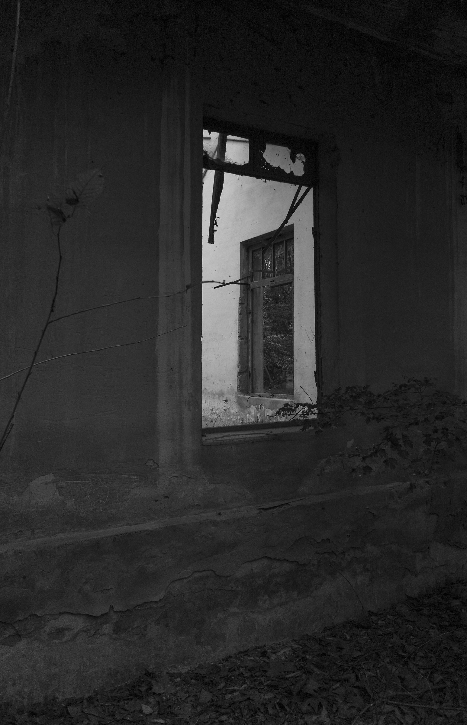 Finestra su finestra