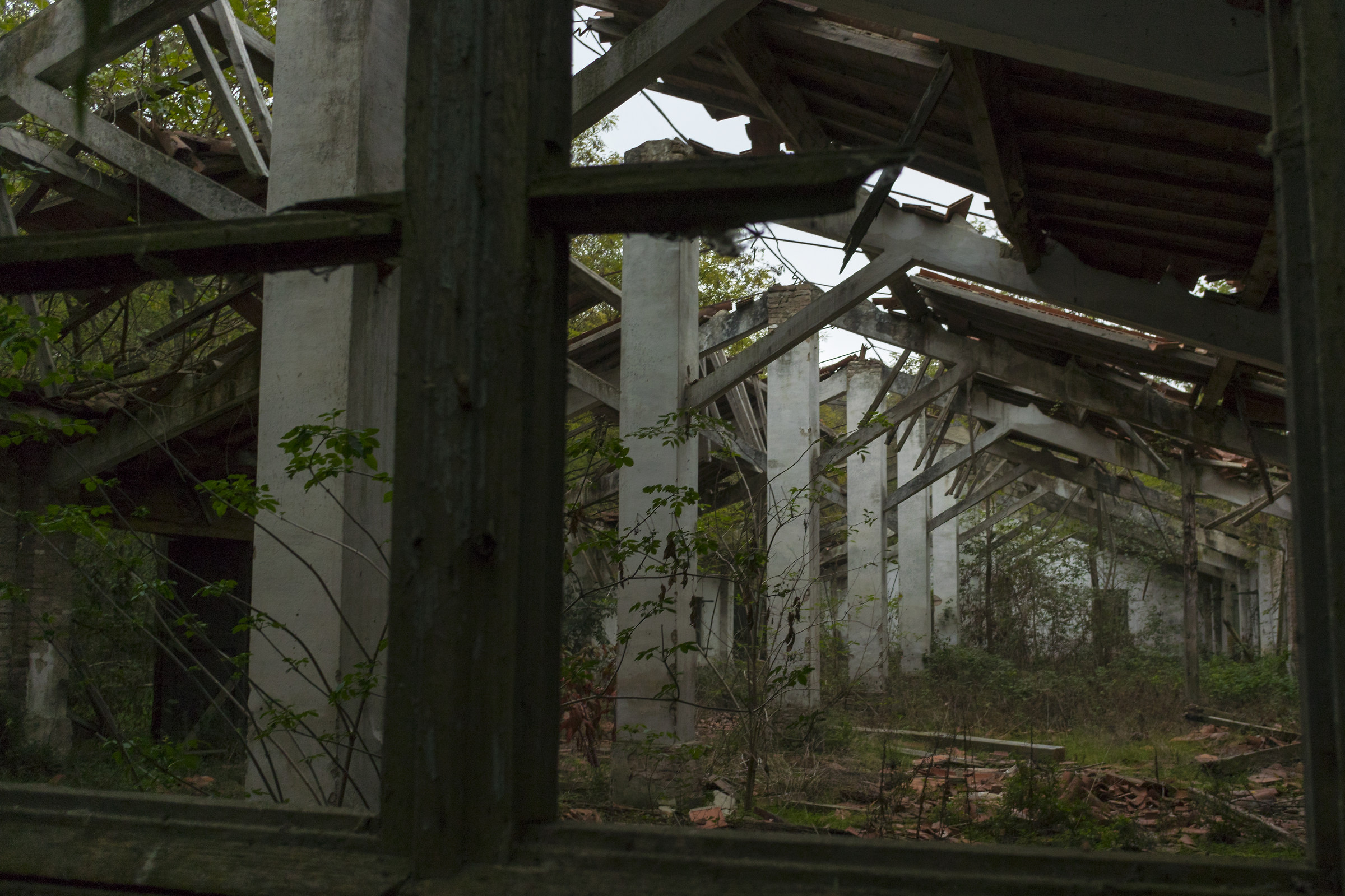 Rovine, linee e natura