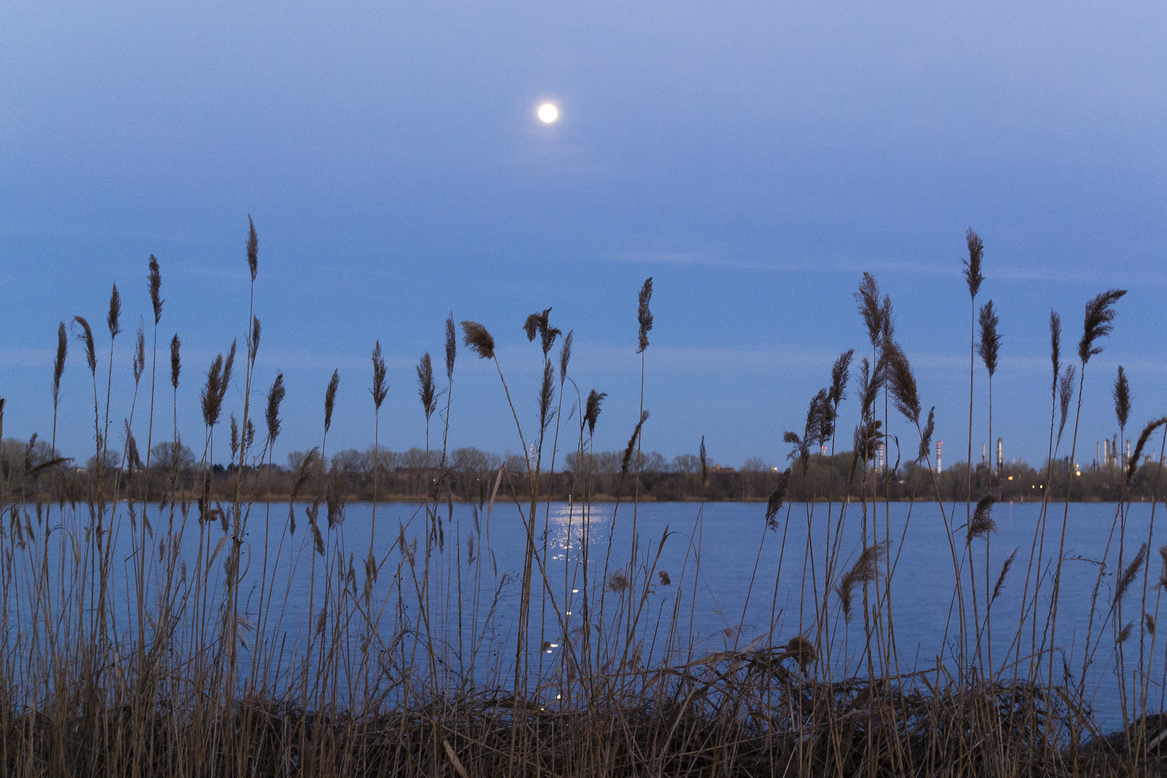 Water, moon and chimneys