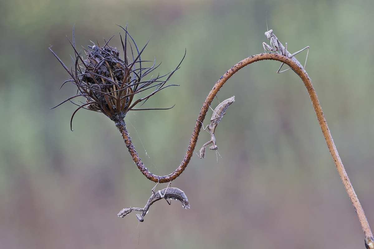Uno sguardo dall'alto