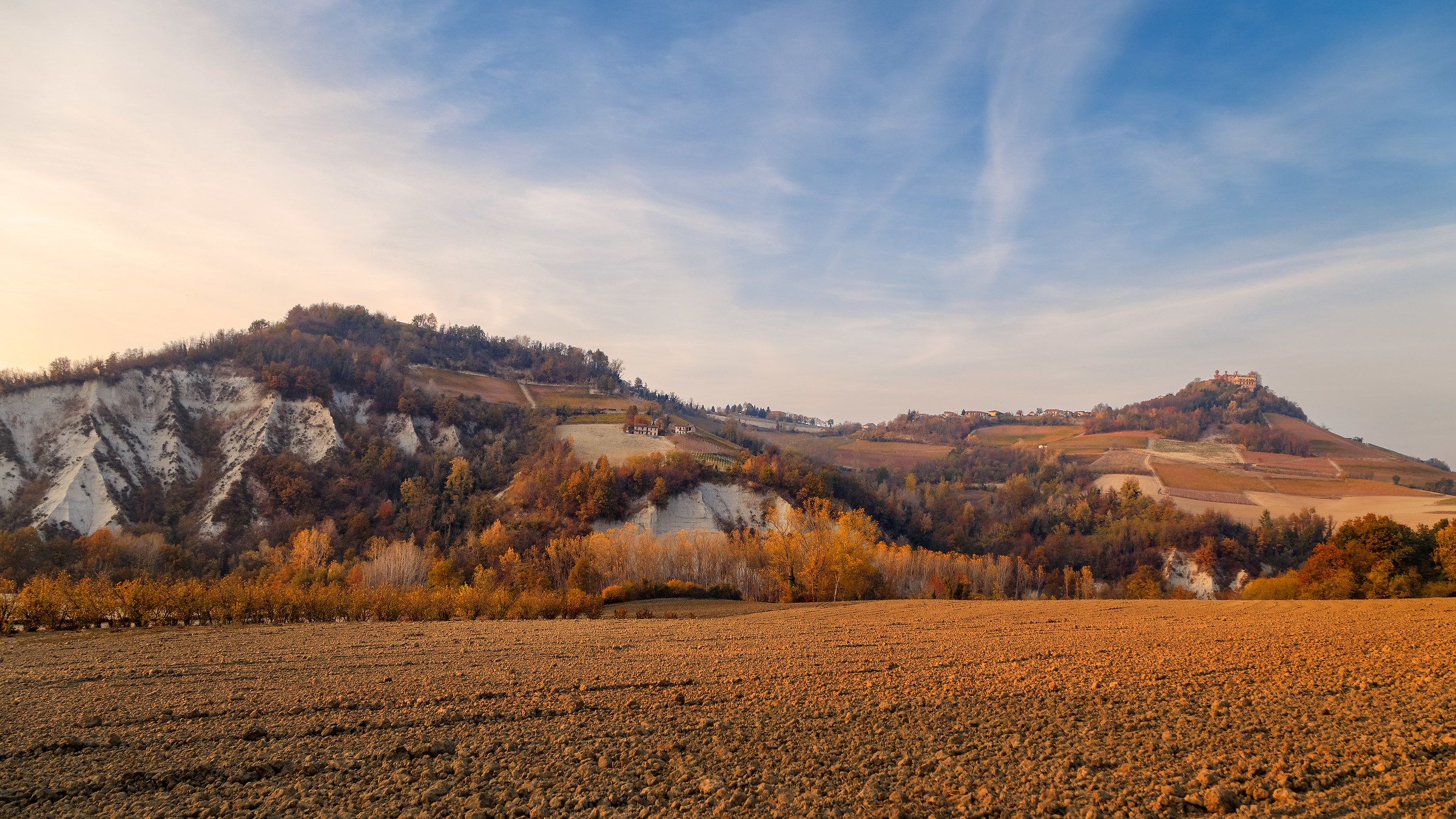 Autumn Piedmontese