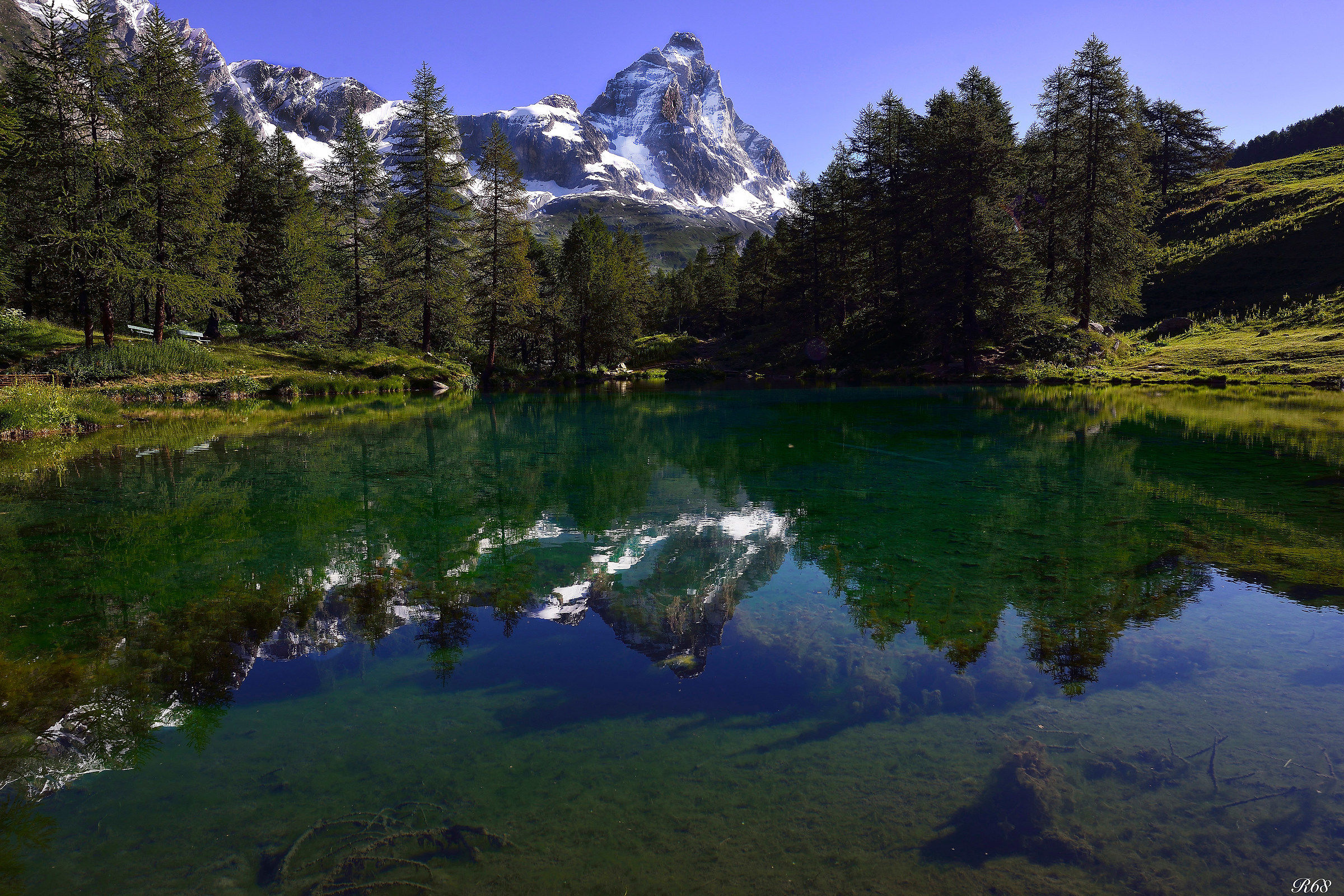 reflection of the mire