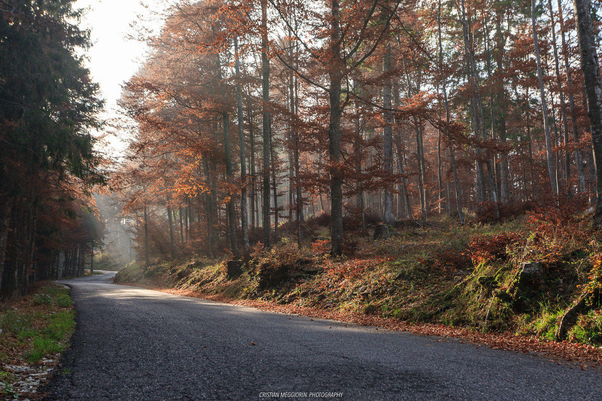 Autunno a Cima Grappa