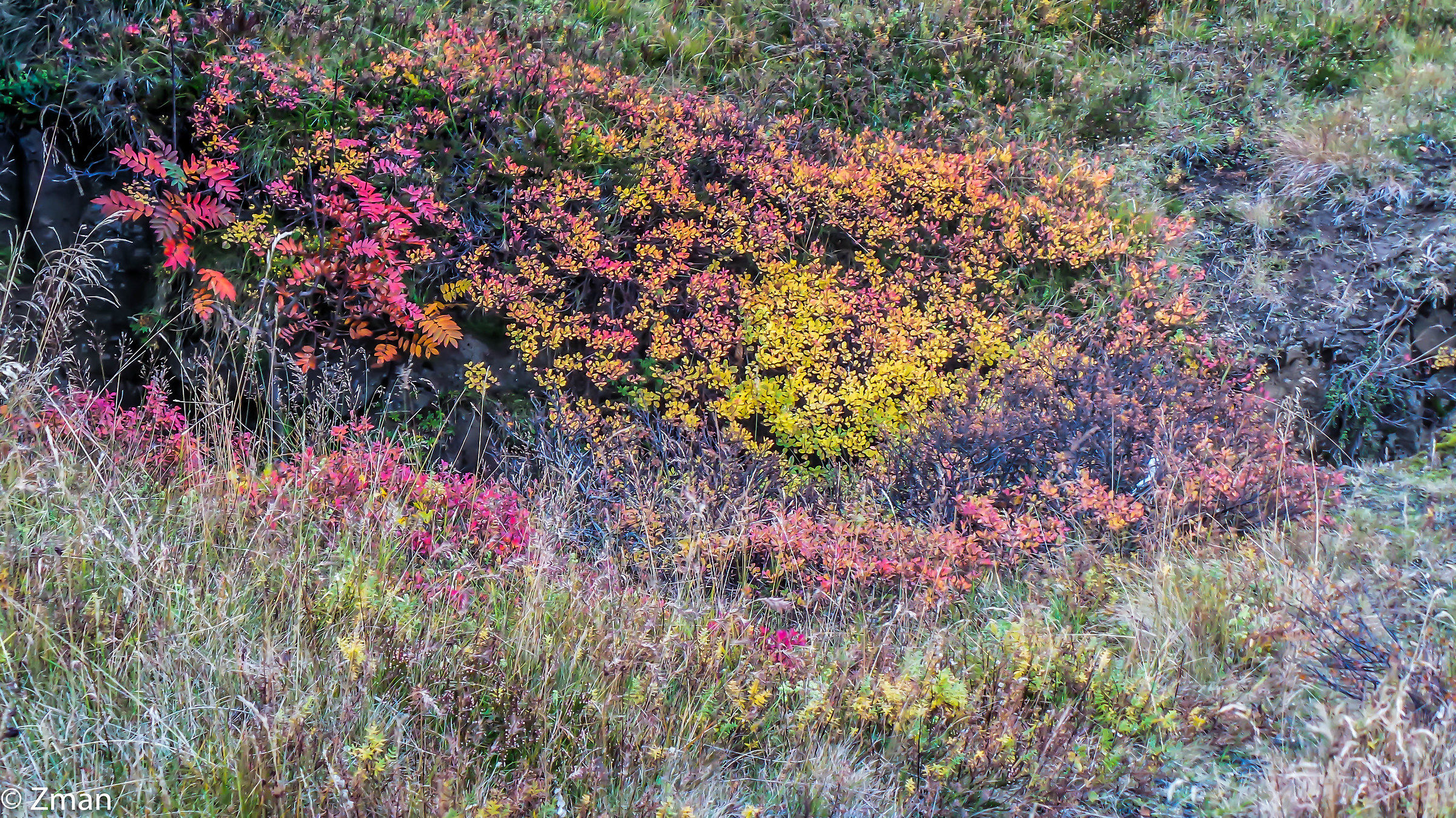 La Crack al Thingvellir