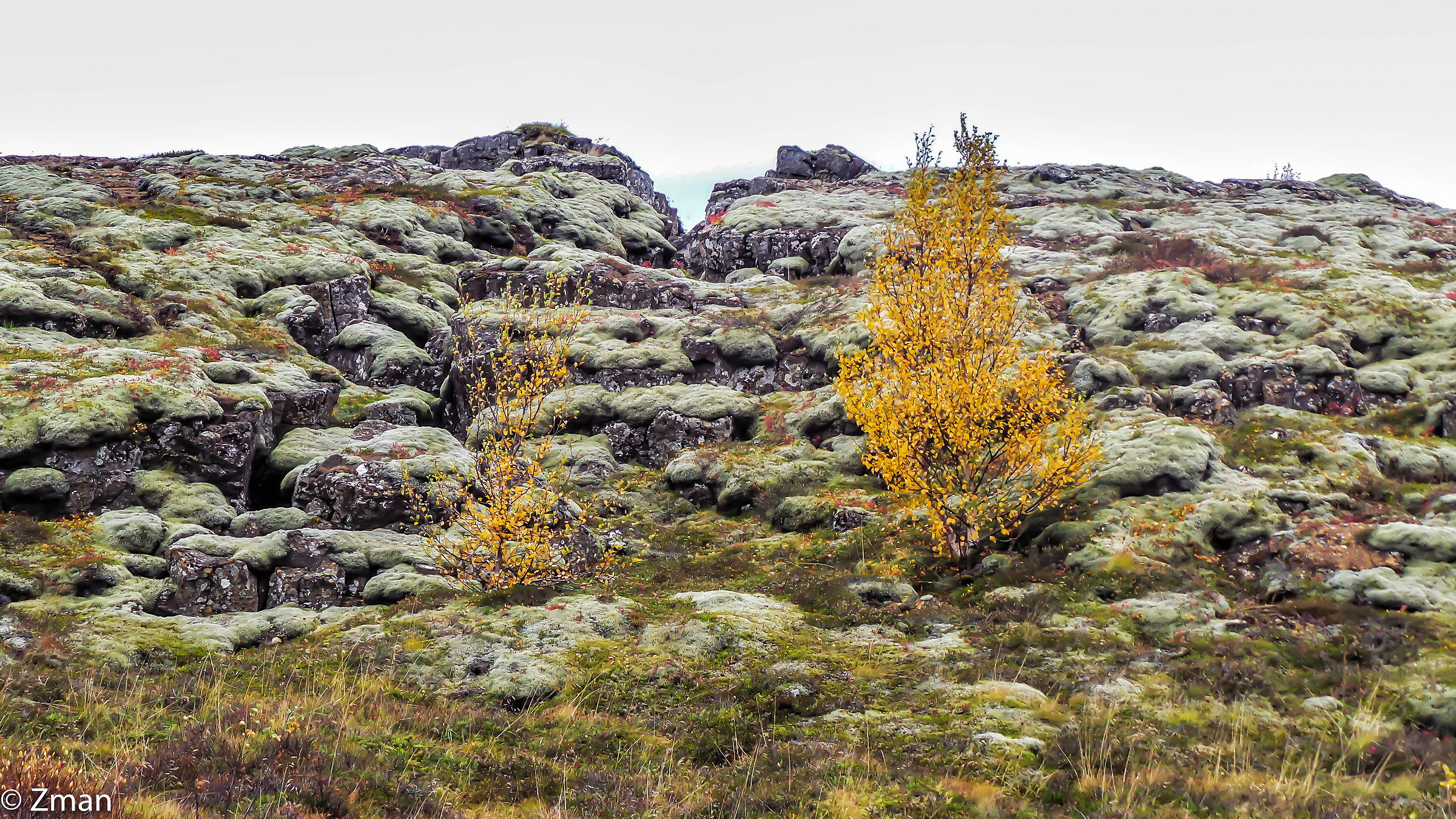 La Crack al Thingvellir