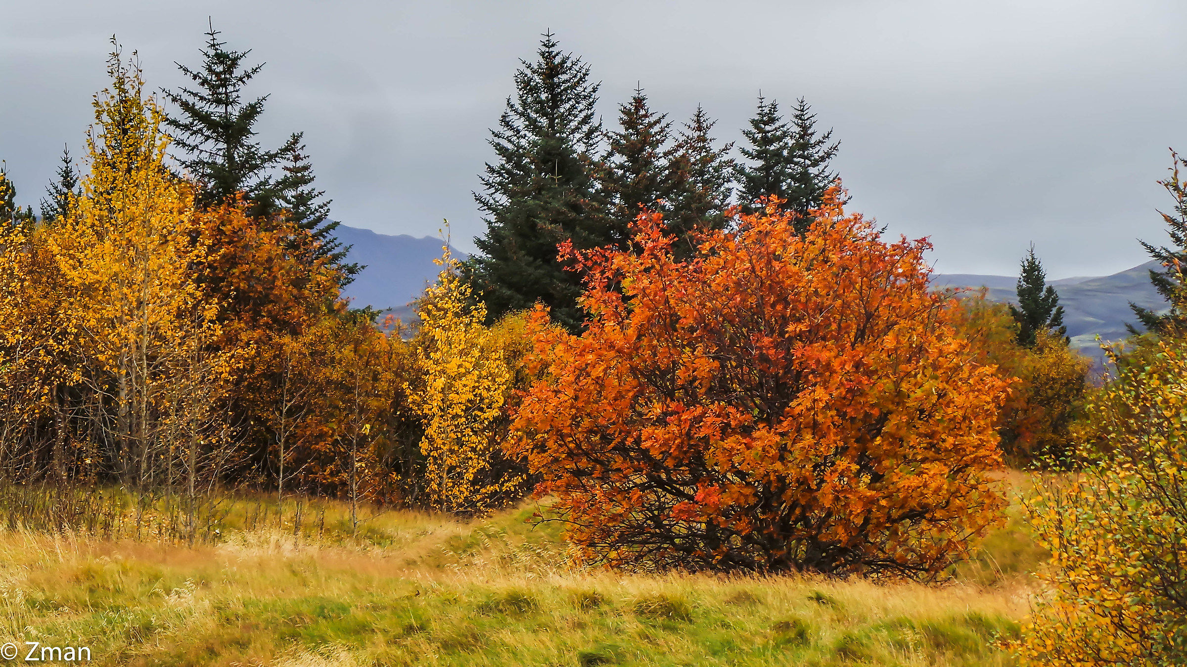 La Crack al Thingvellir