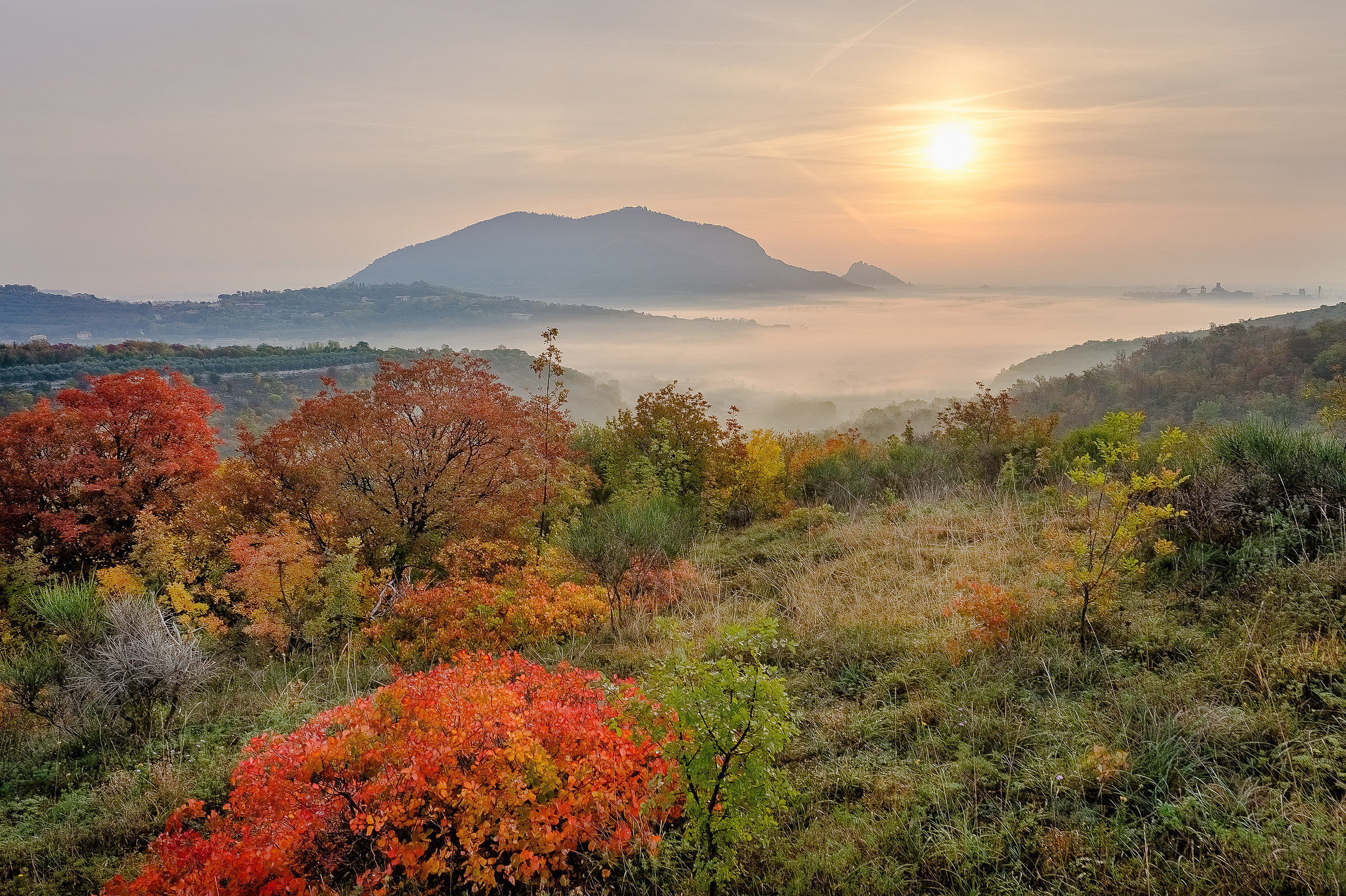 Early morning lights