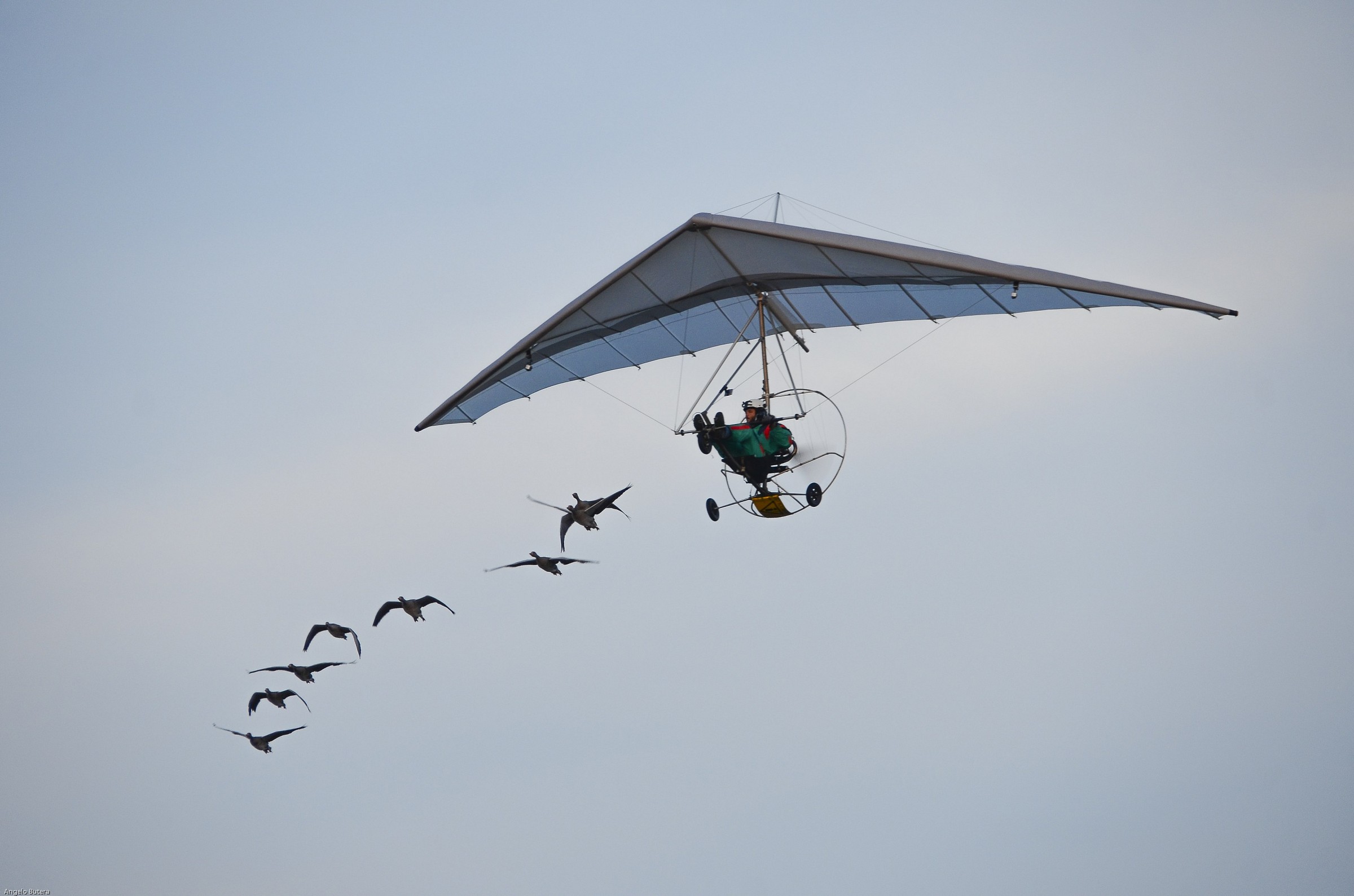 Cona island of Ancona