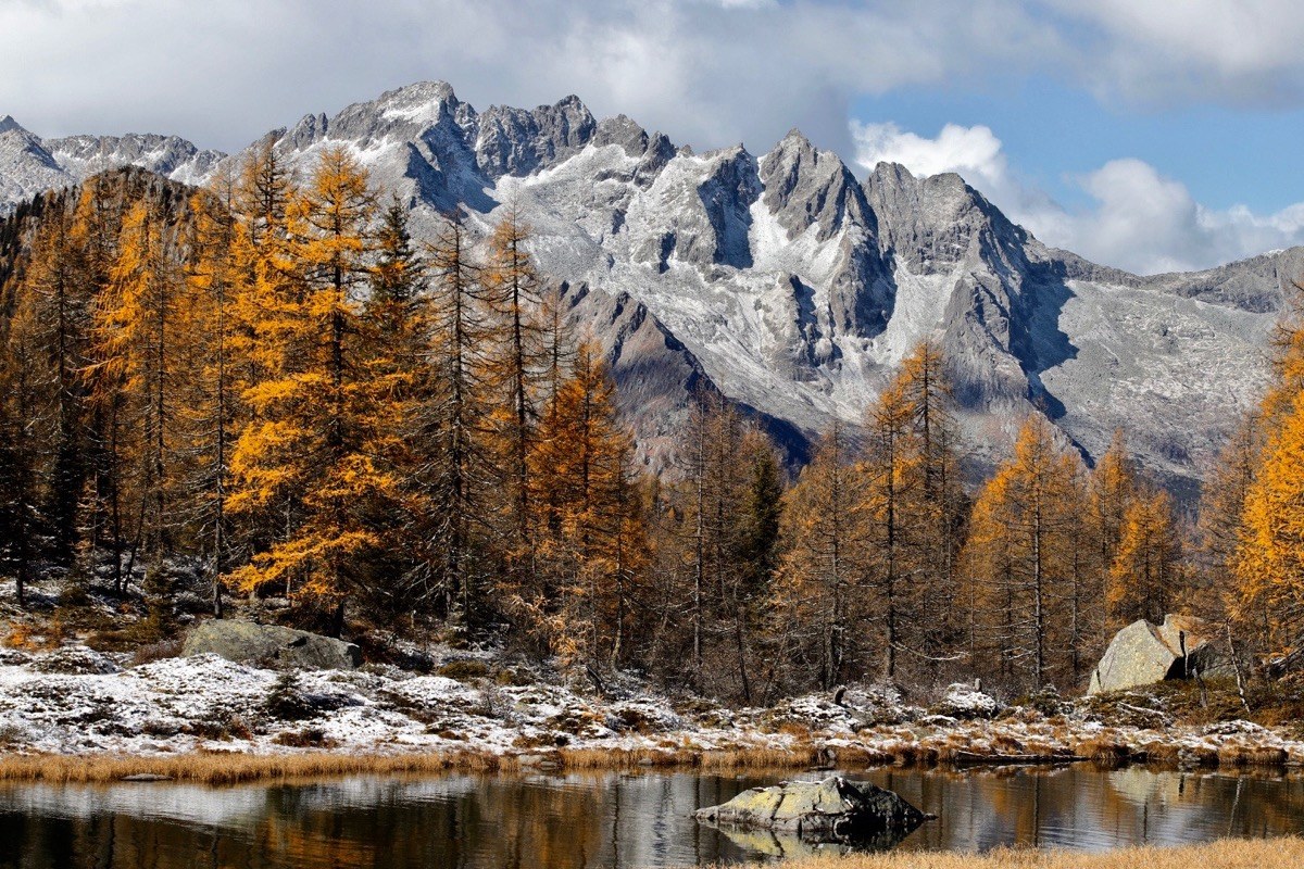 Adamello Carrè high