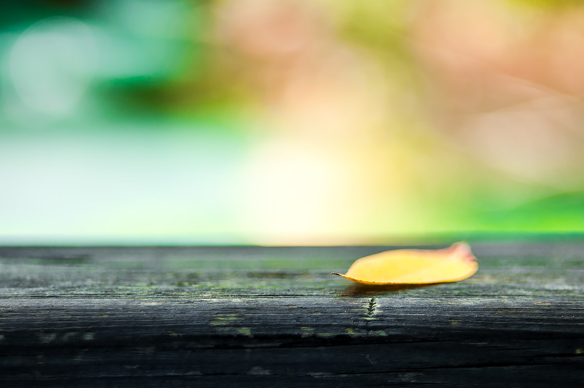 The arrival of Autumn