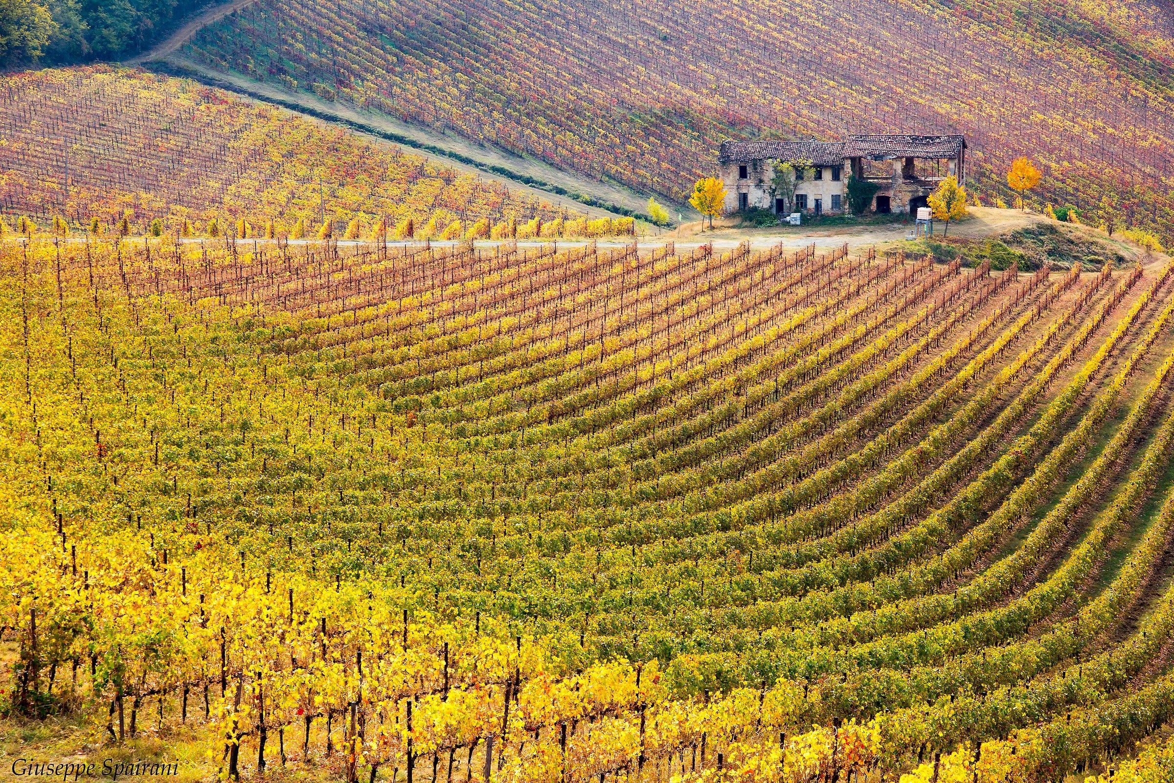 when the hills change color