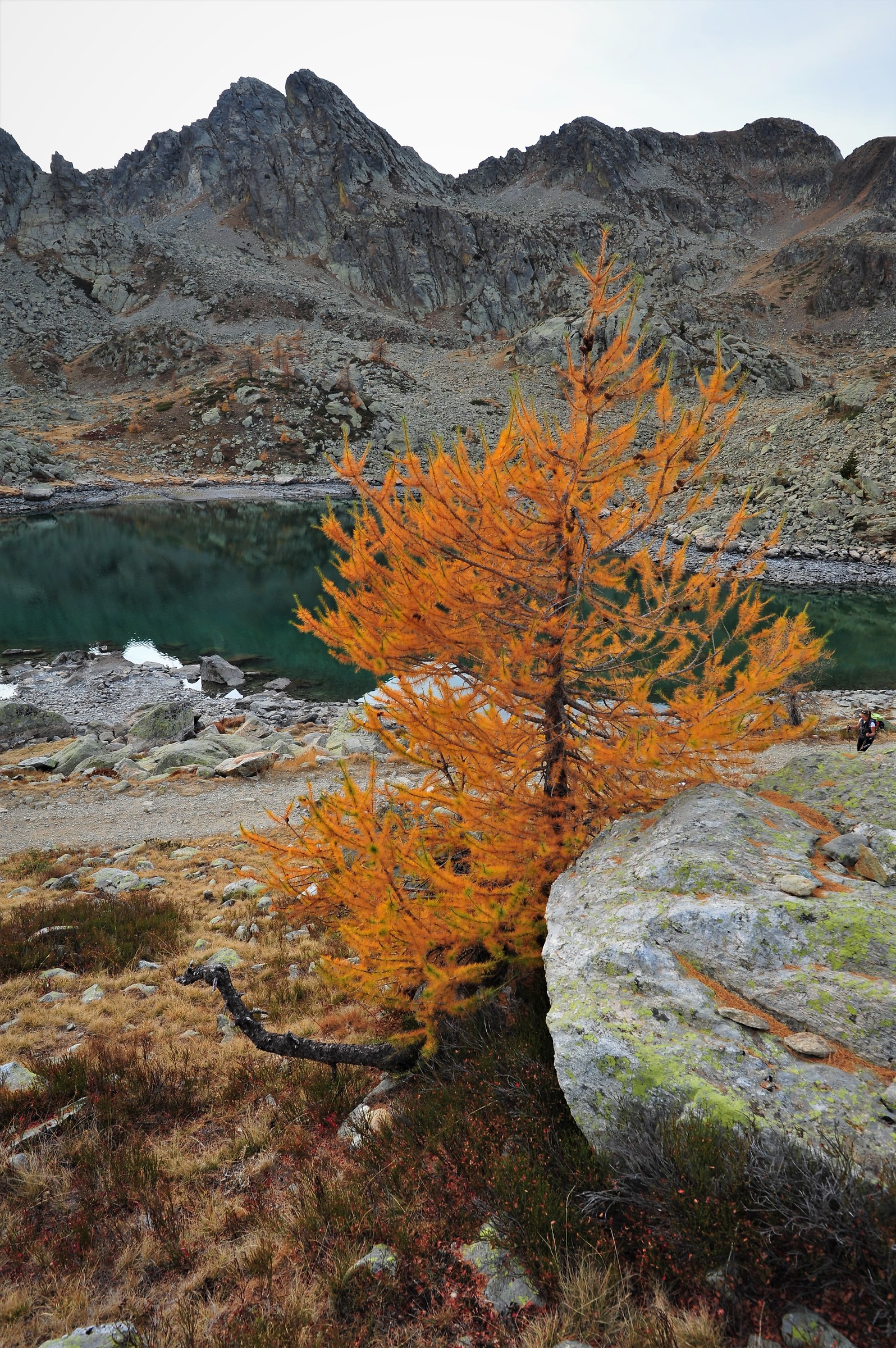 Autumn ... naked and raw