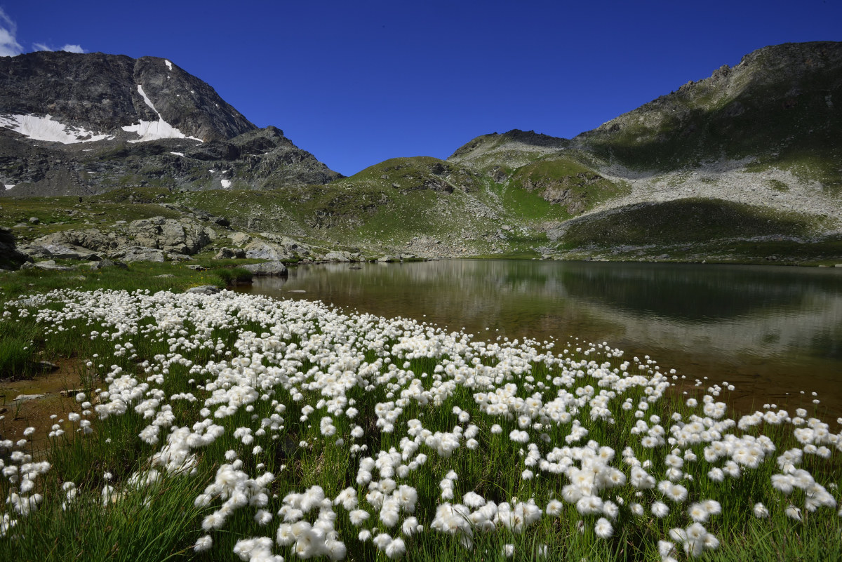 Parco naturale del Monte Avic
