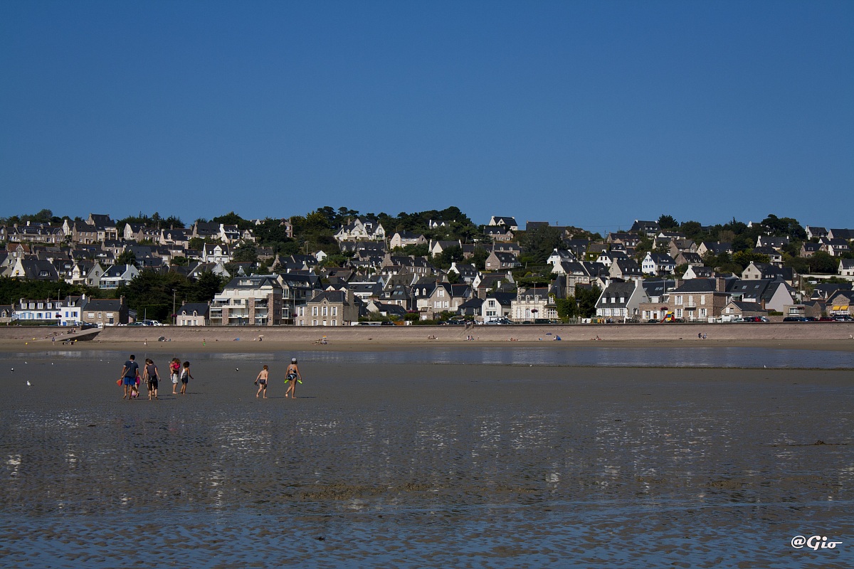 The Power of the Tides