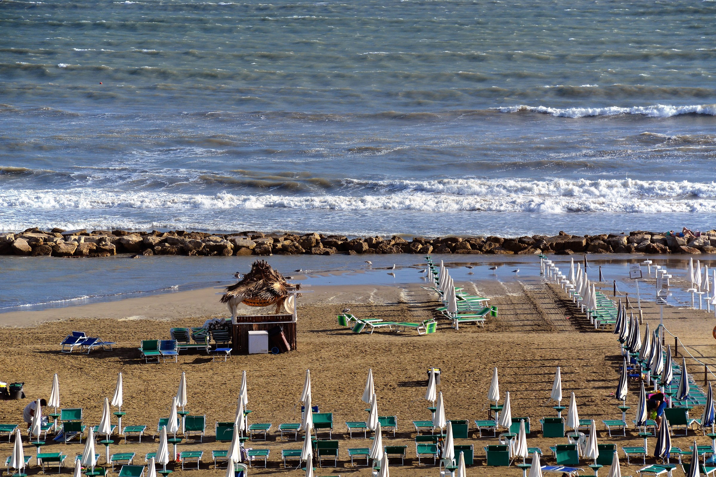 ... summer is ending ...