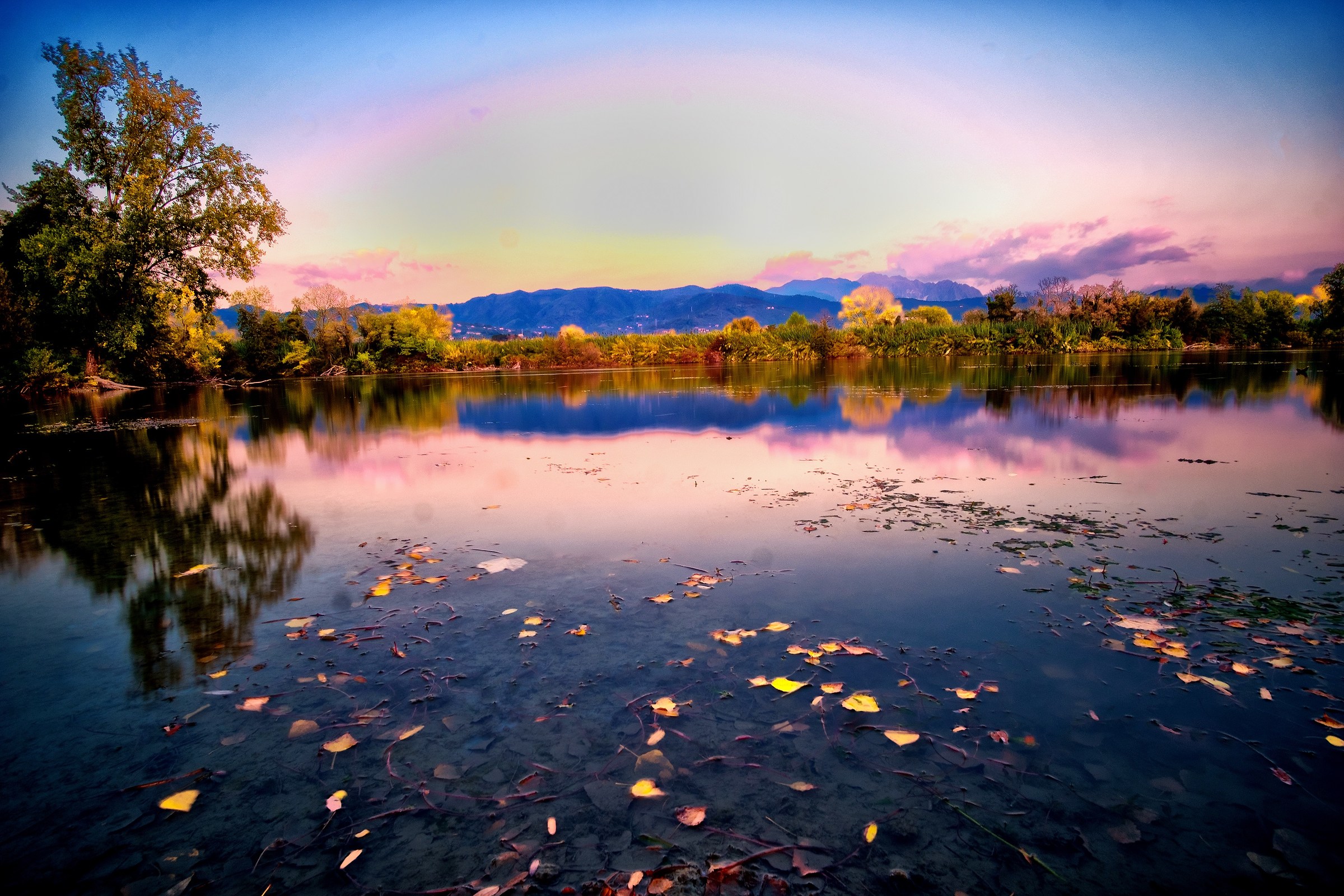 Laghi Saudini Sarzana