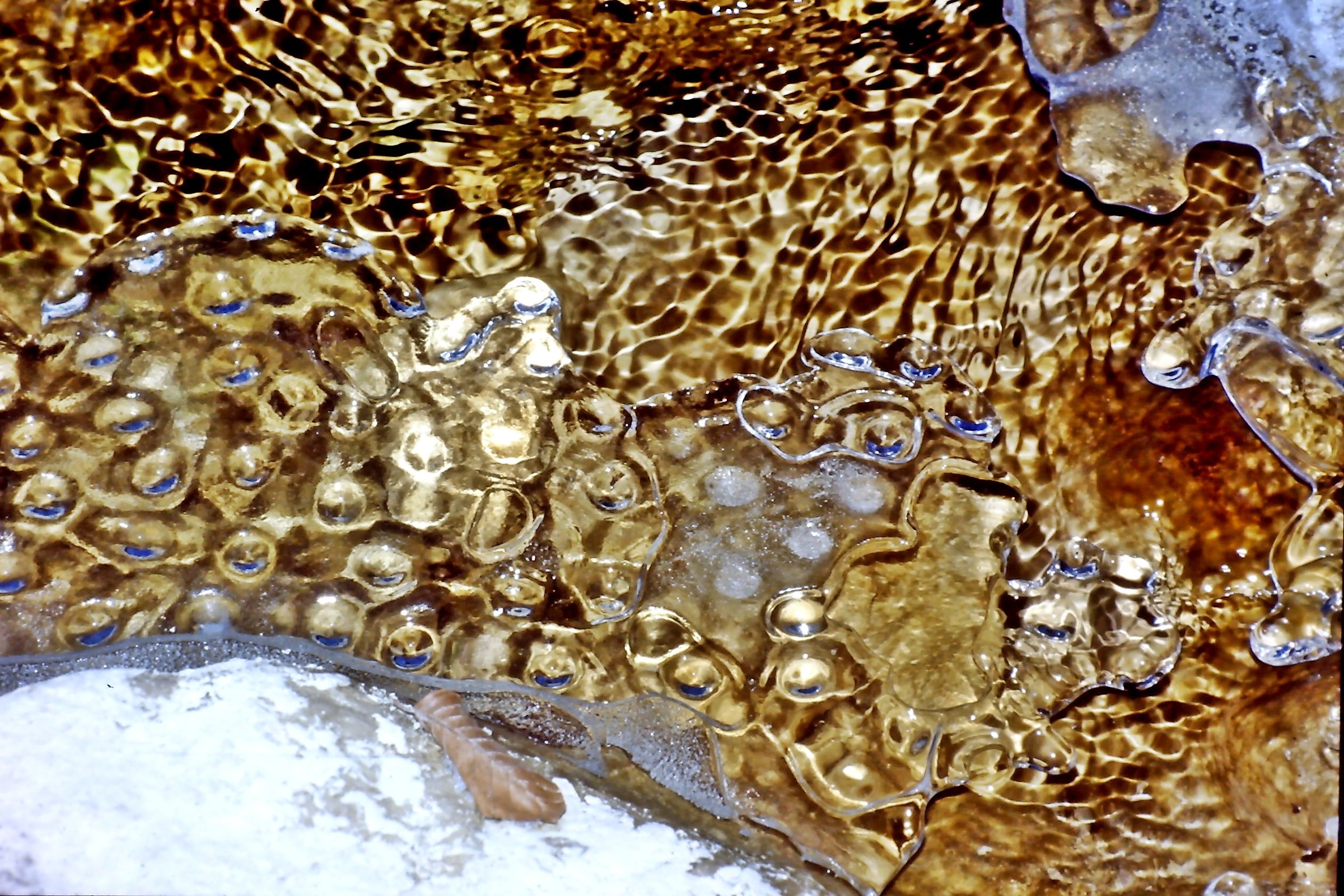 753 - premio per me, oggi che son umile cercatore d'oro