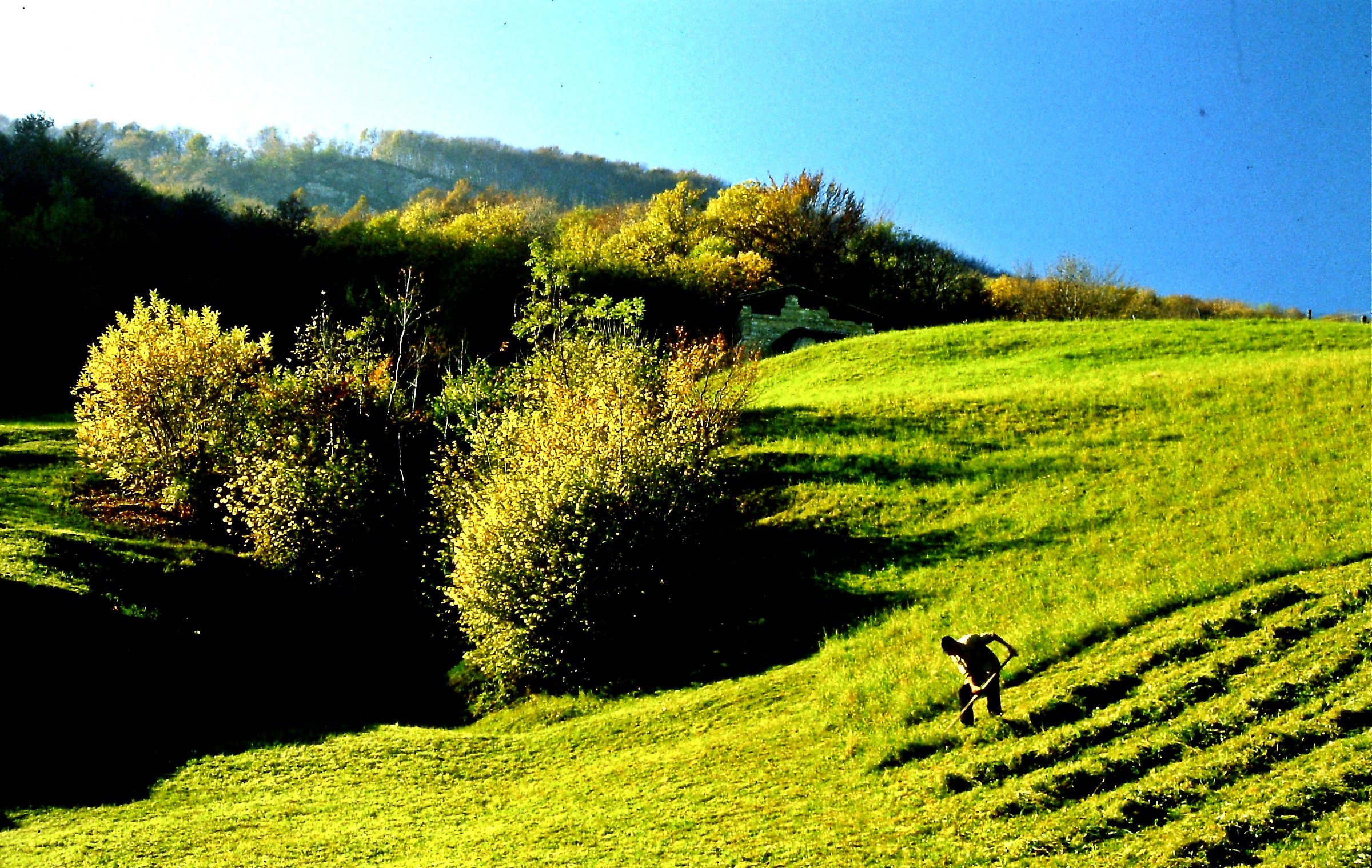 760 - usuali gesti, usuale fatica, ultimo fieno