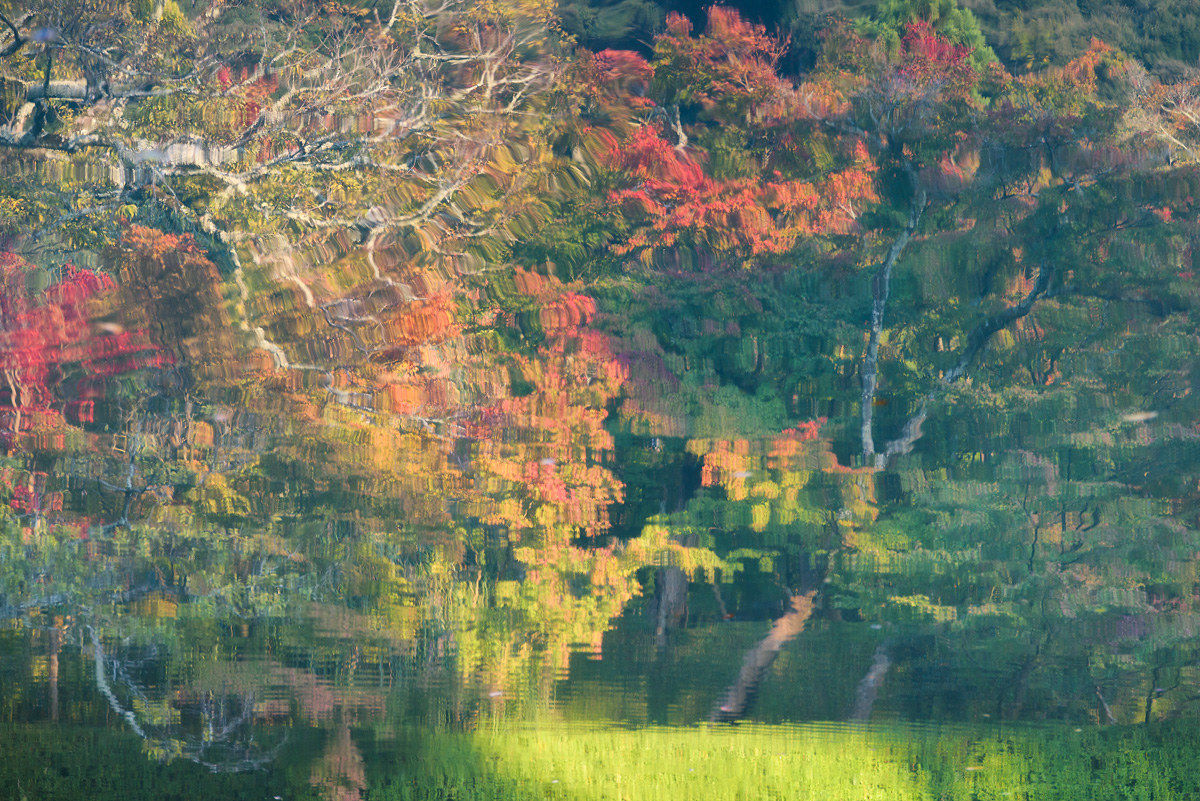 Kyoto reflections