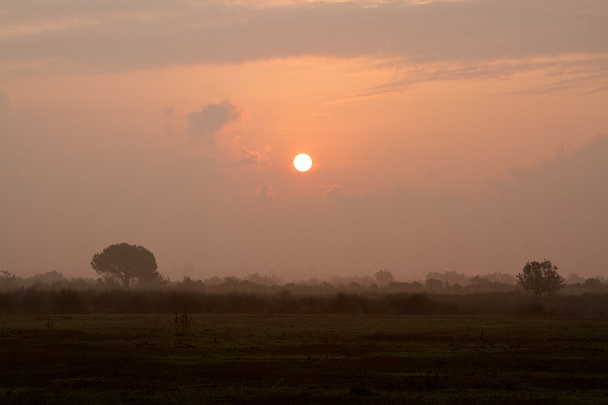 La Campagna Provenzale