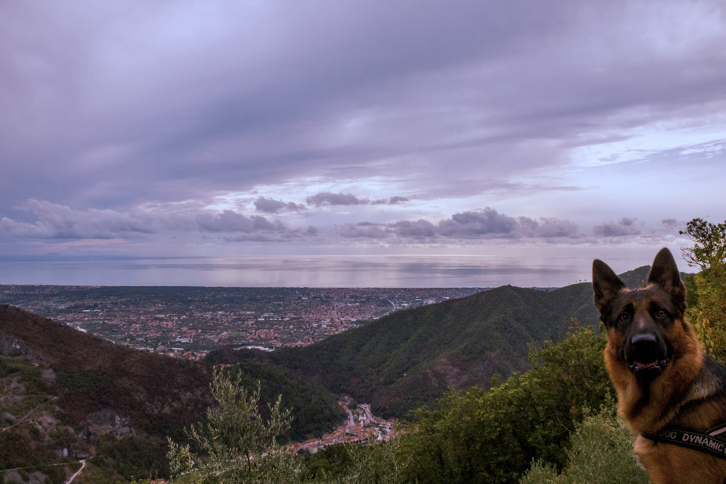 landscape con zack :-)