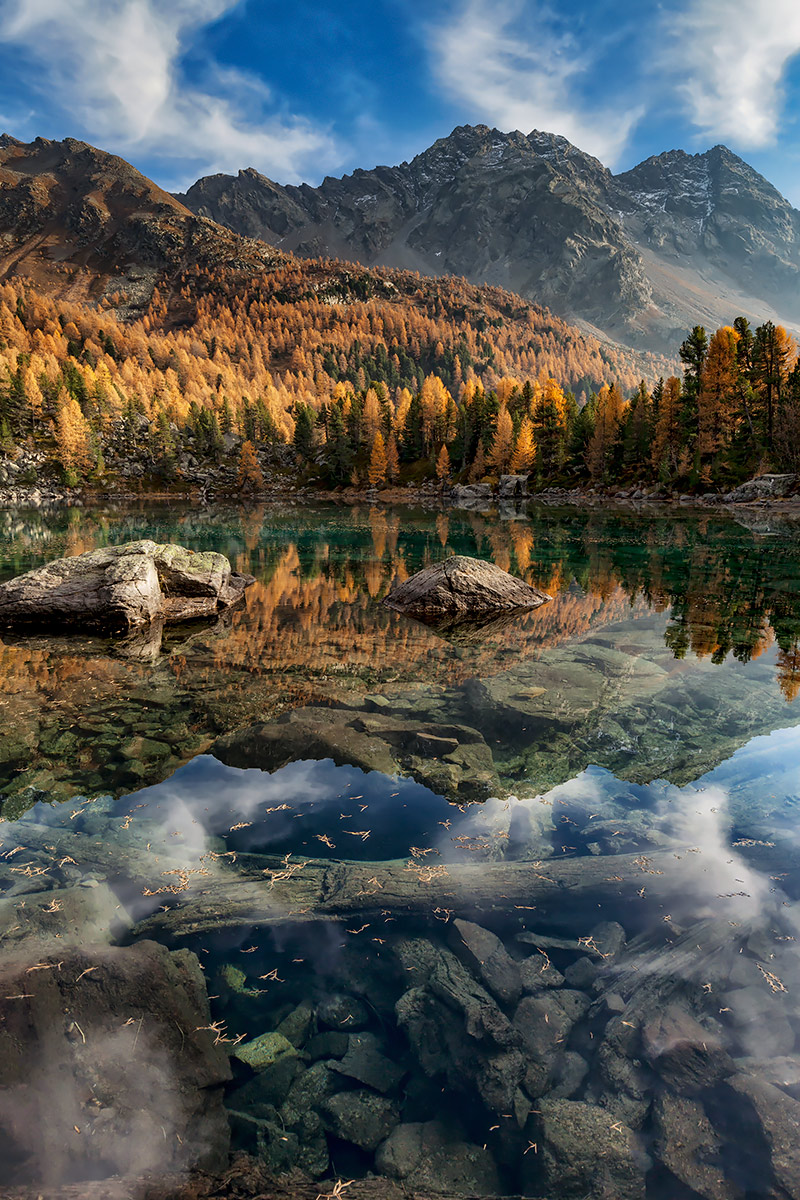 Autumn Transparencies