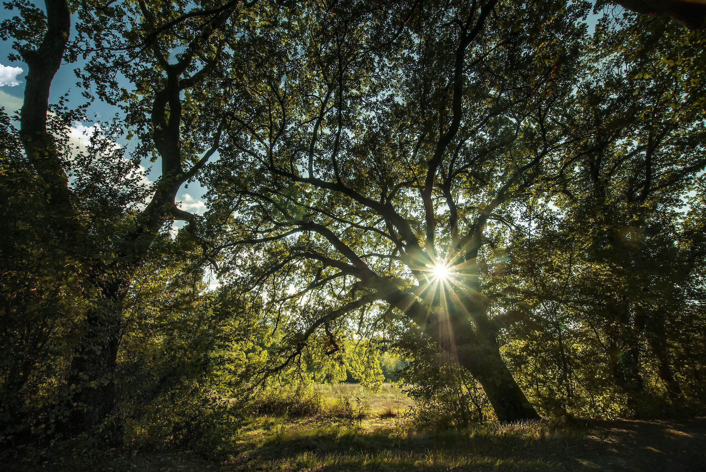 Ultimo sole d'autunno