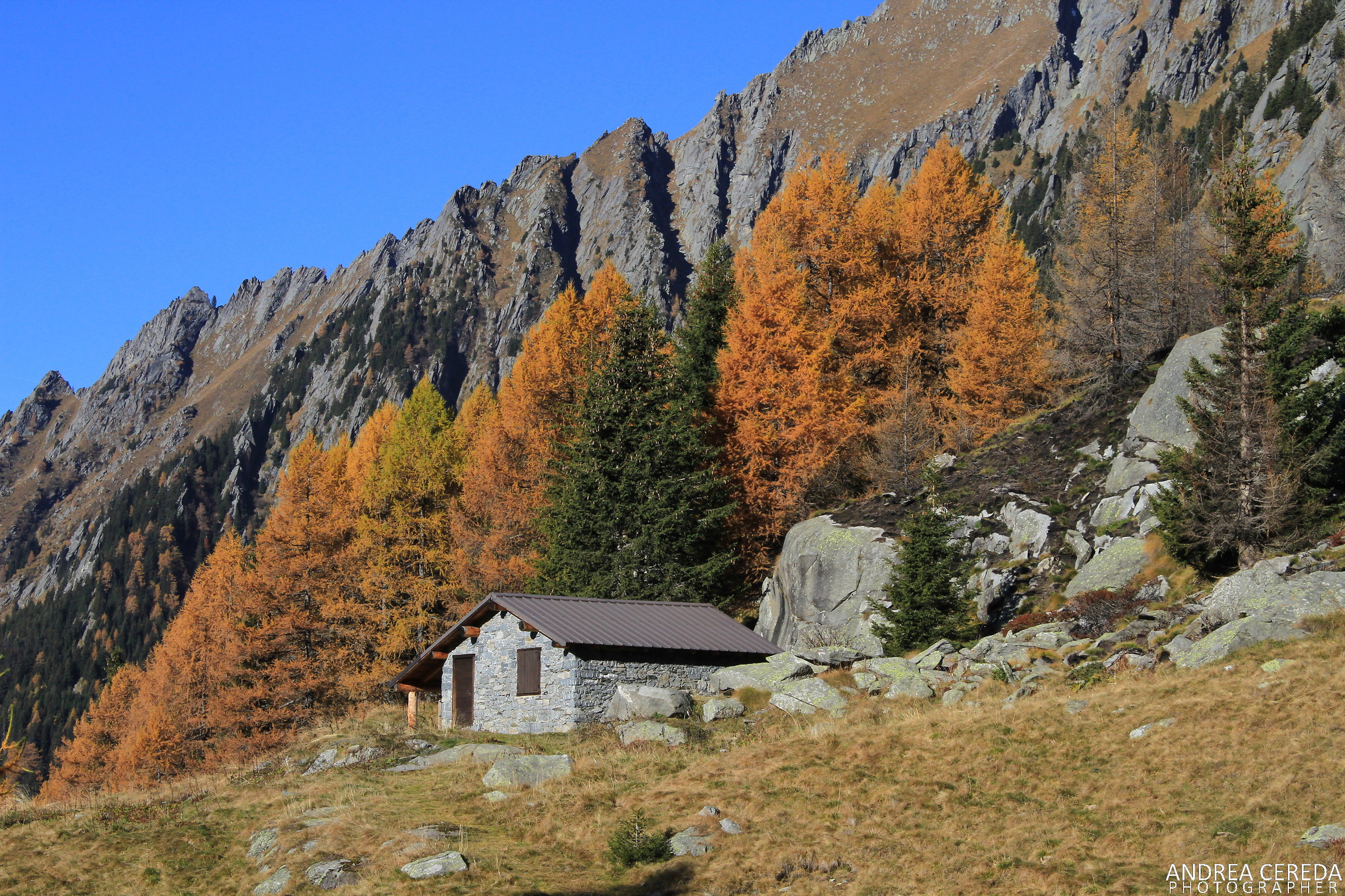 Autunno a Preda Rossa