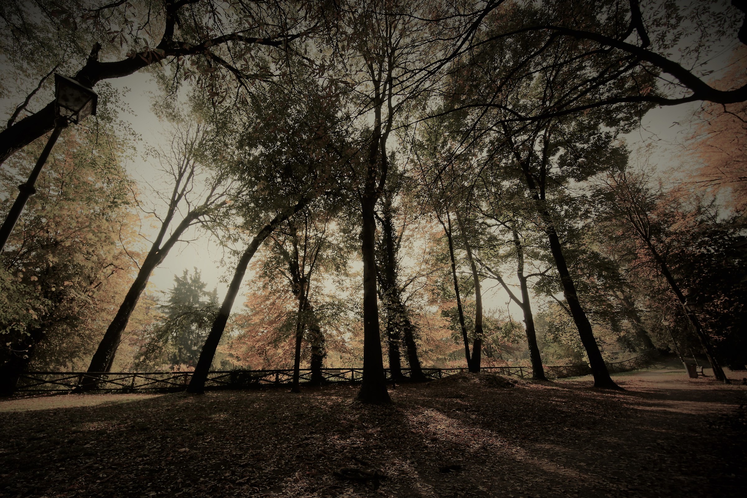 Cernusco sul Naviglio Park
