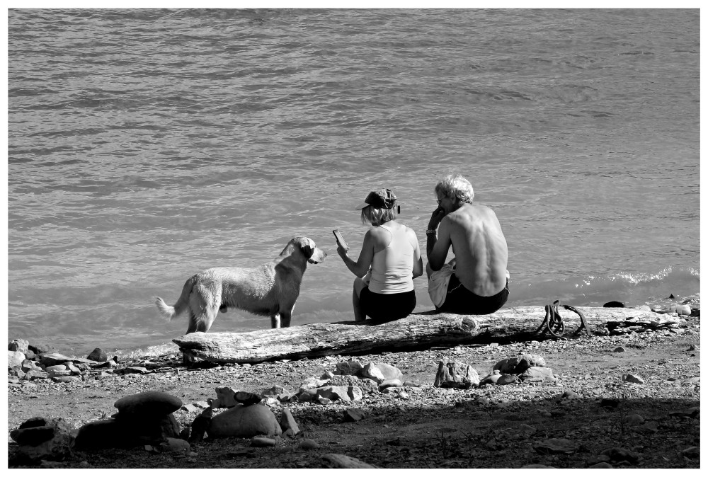 ... Fido in posa per la foto